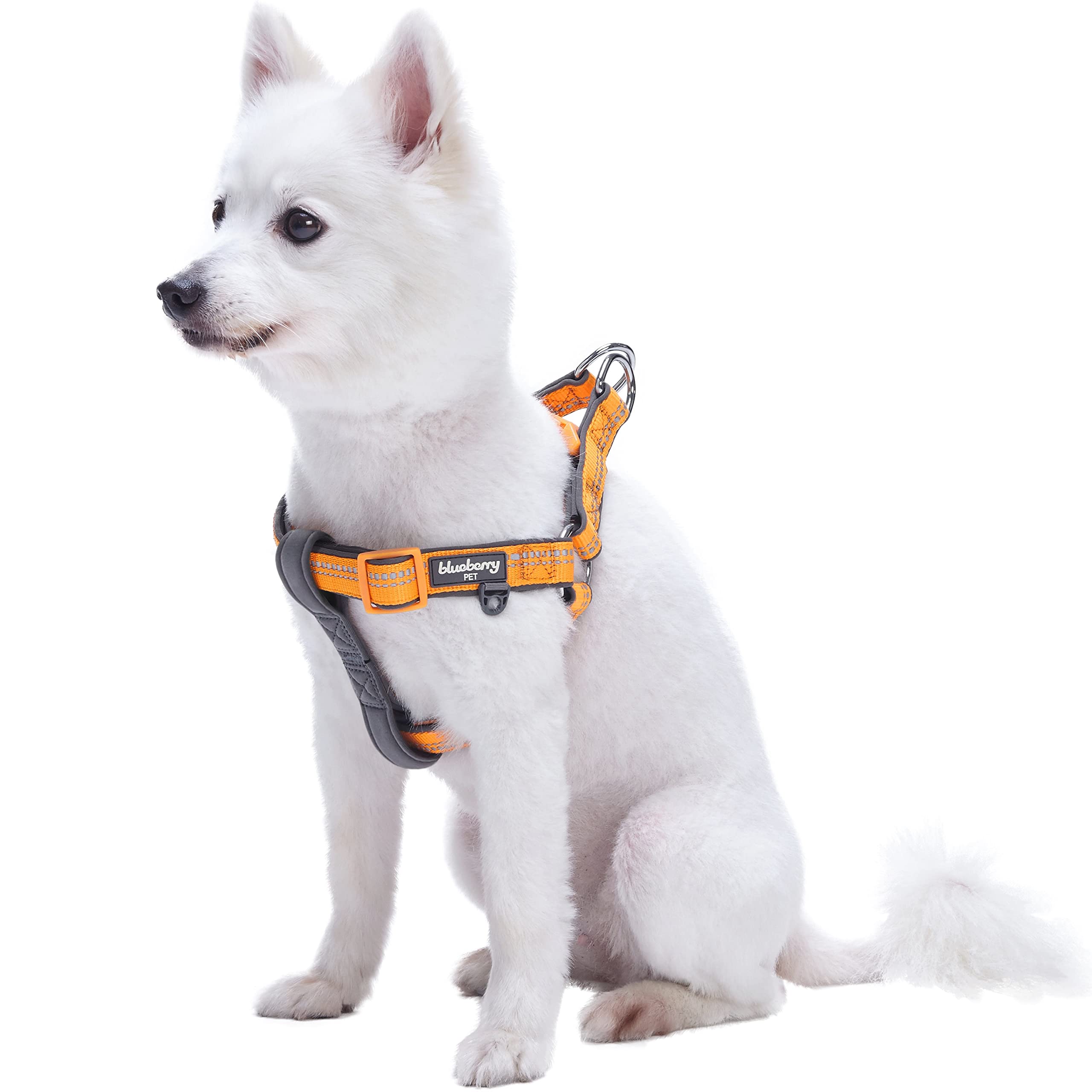 Blueberry Pet Soft & Comfy 3M Reflective Step-in Pastel Color Padded Dog Harness, Chest Girth 16.5 - 21.5, Orange Peel, Small, A