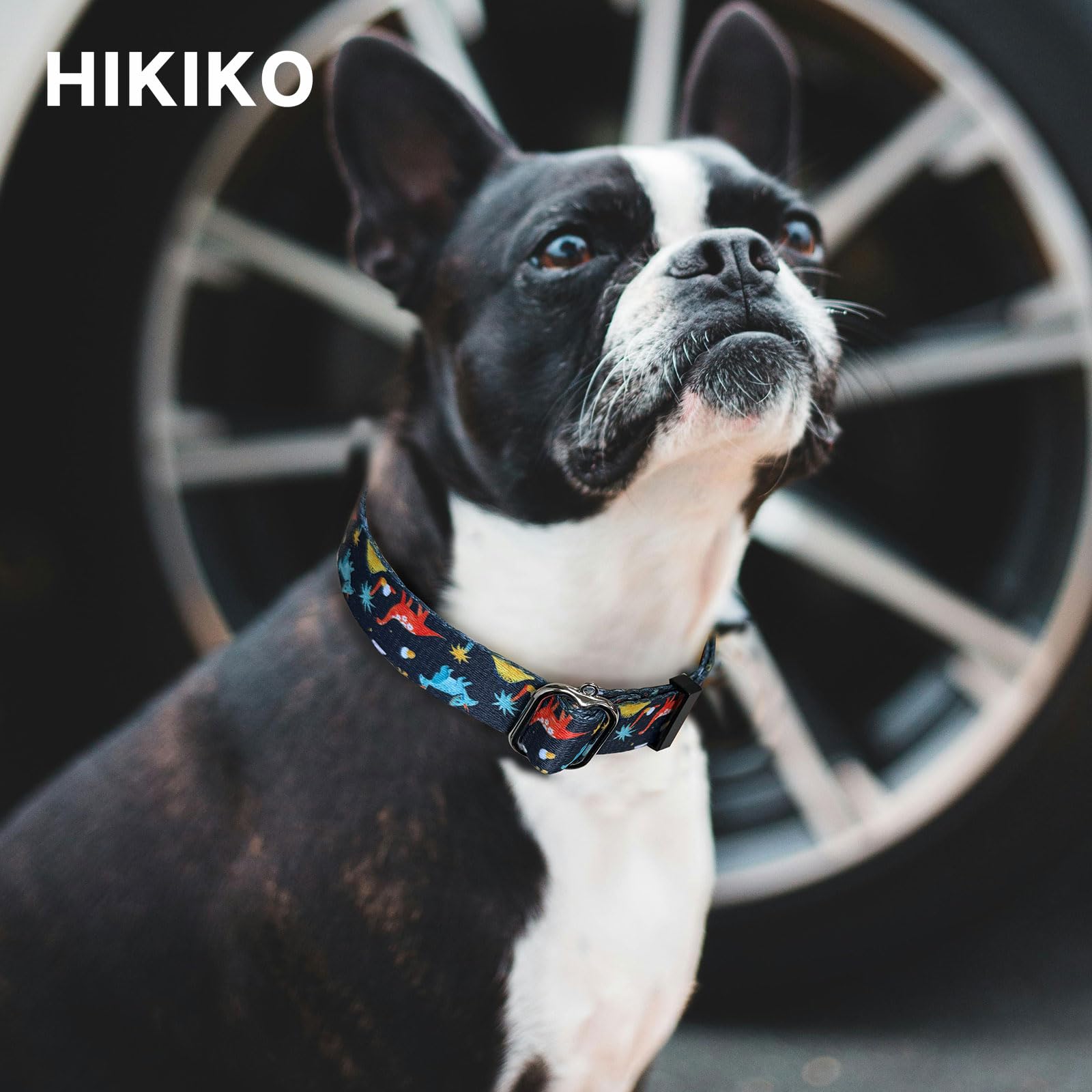 Hikiko Martingale Collar For Dogs With No Buckle Boy Male No Pull Dog Collars For Large Dogs,Dinosaur,L