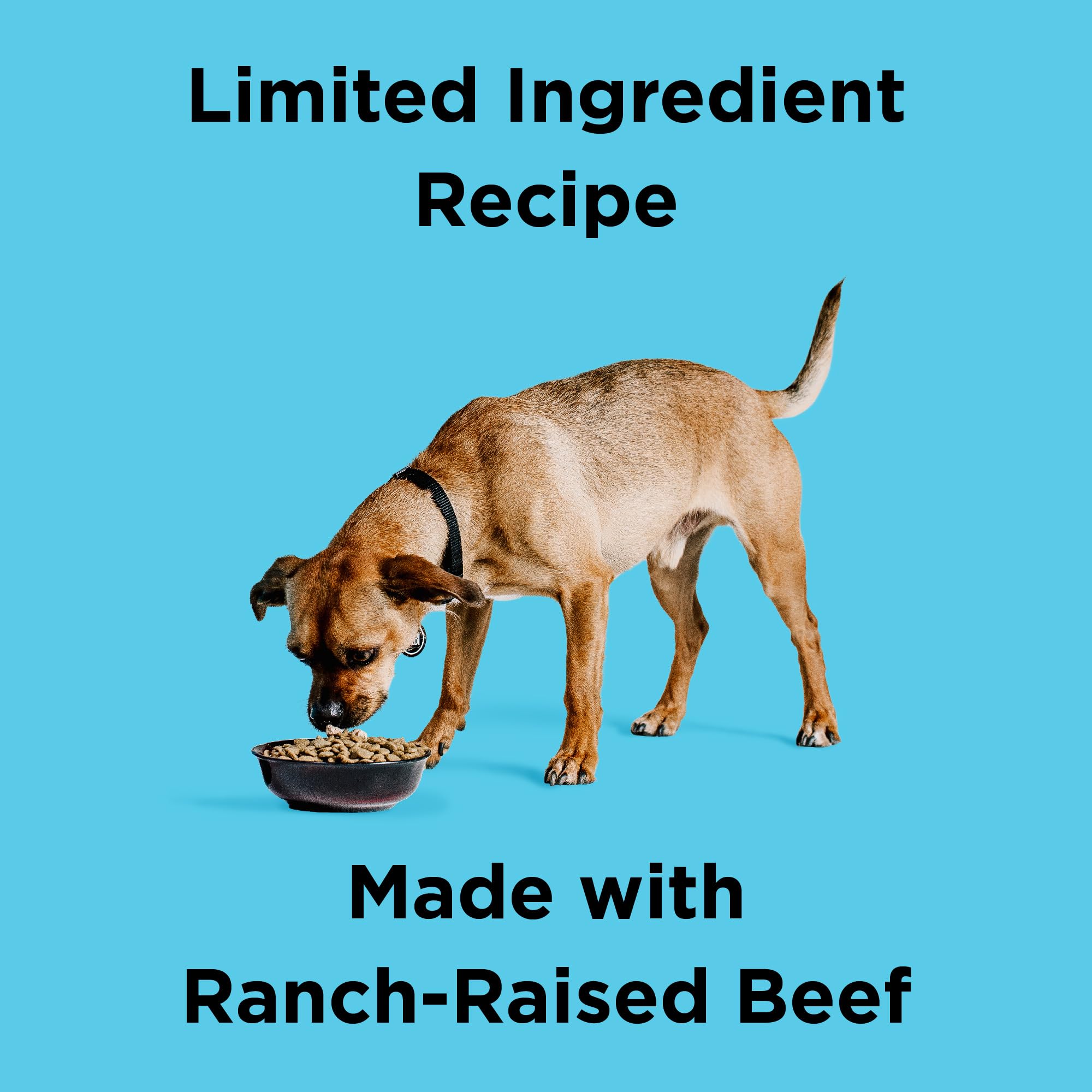 BIXBI Liberty Grain Free Dry Dog Food, Beef, 4 lbs - Fresh Meat, No Meat Meal, No Fillers - Gently Steamed & Cooked - No Soy, Co