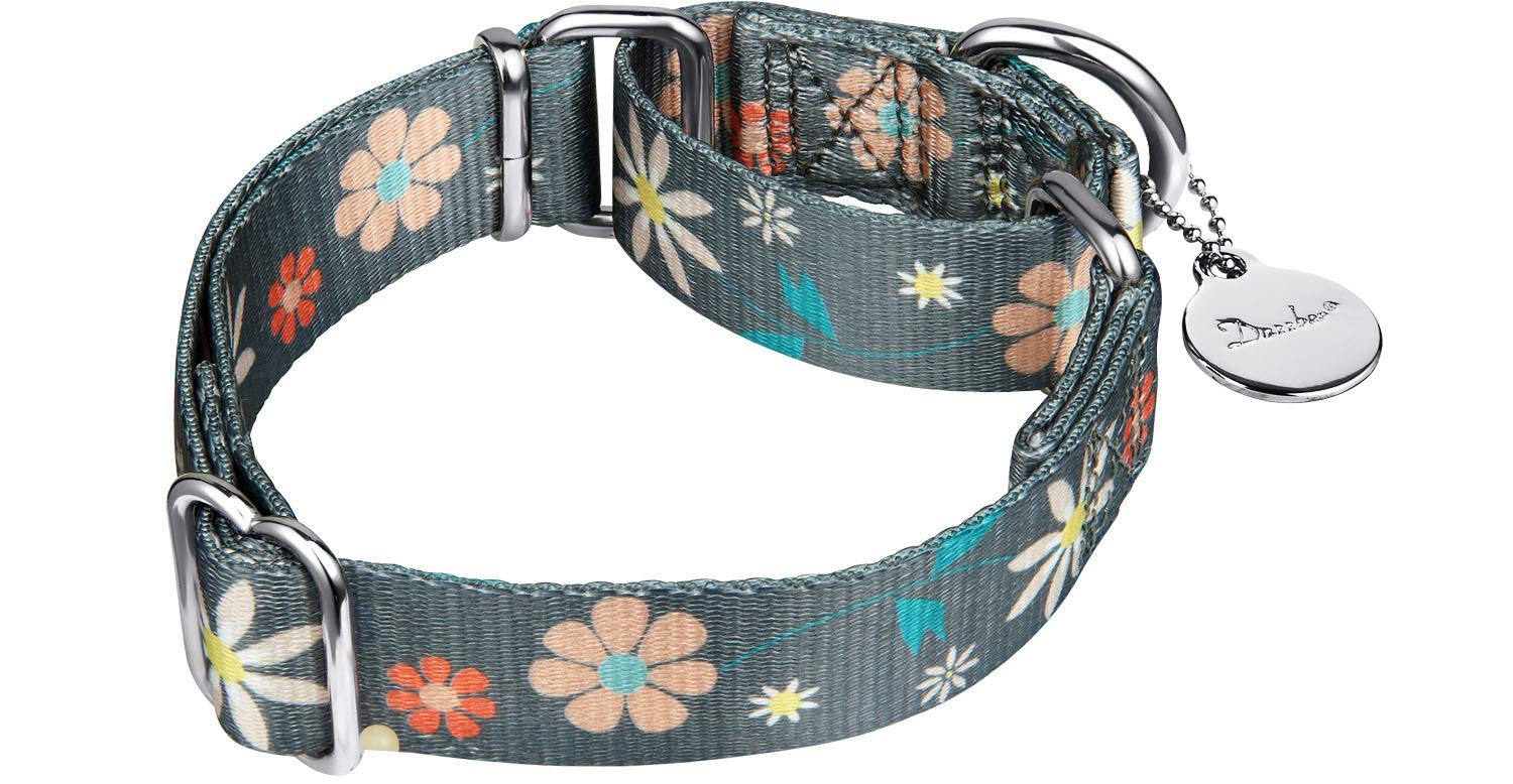 Dazzber Puppy Dog Collar Floral Print Martingale Collar No Pull Pet Collar, Heavy Duty Adjustable Dog Collar, Small, Neck 10 Inc
