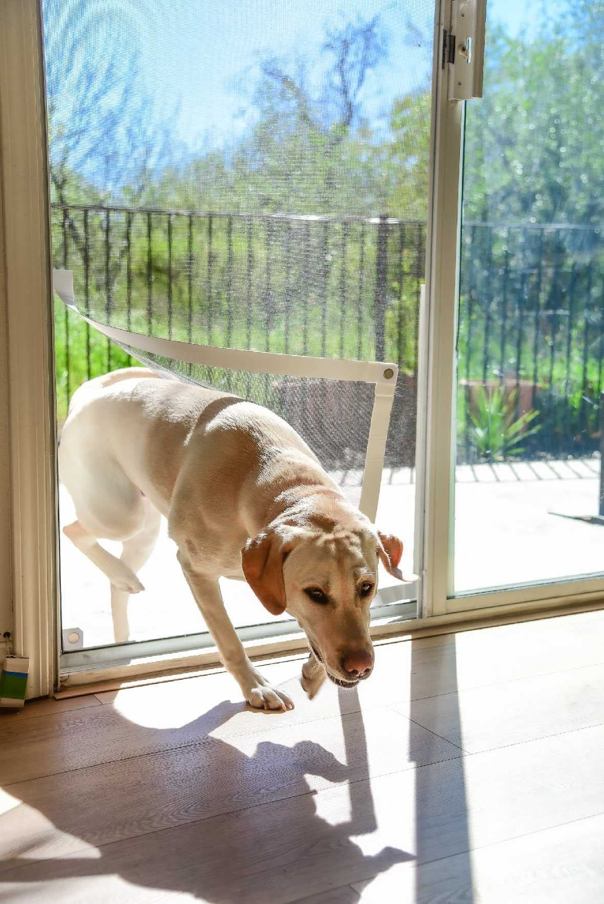 Pet Door Sliding Door Screen Kit | Patio Screen Door Replacement Kit | Dog & Cat Screen Kit for Any Framed Screen | White Tape, 