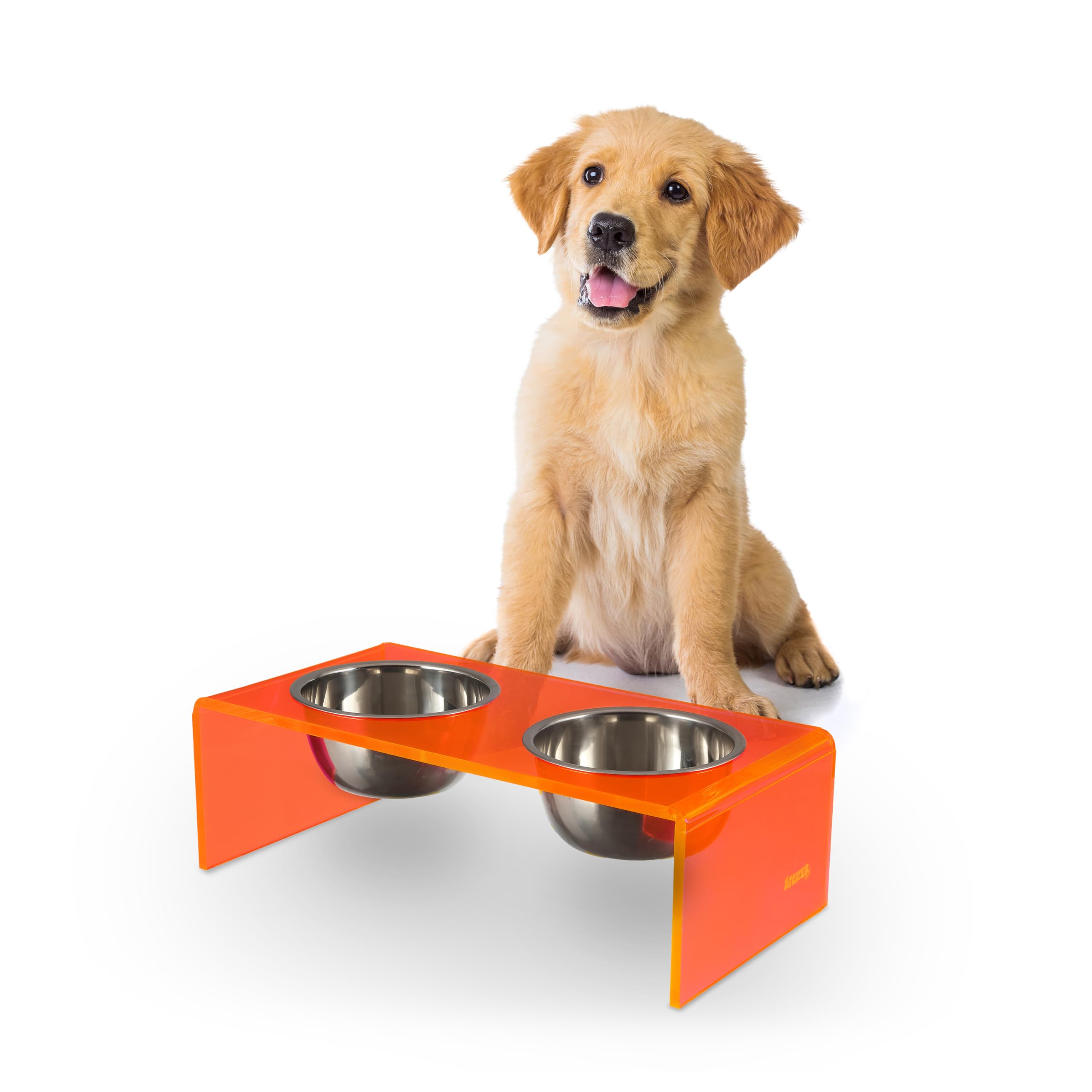 The LICKER Store DBL2000E Keaton 5 Small/Medium Modern Acrylic Rectangular Elevated Pet Feeder with 20oz 2-Stainless Steel Bowls