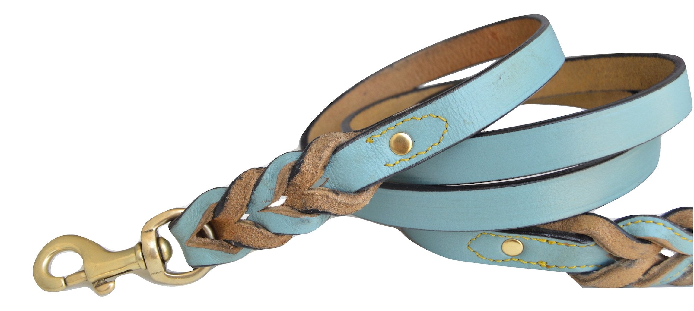 Soft Touch Collars Heavy Duty Leather Braided Dog Leash, 6 Ft X 3/4 Inch, Turquoise With Beige Padded Handle