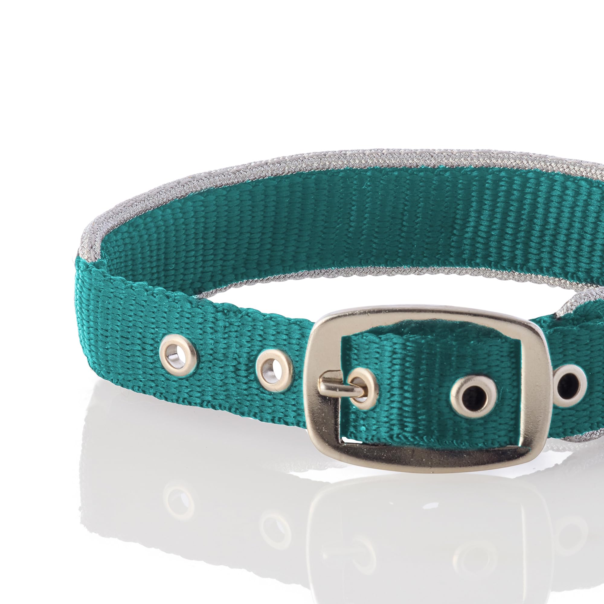 Pet Passion Adjustable Silver Trimmed Dog Collar For Pets Small, Medium And Large Dogs, Silver/Turquoise, Small