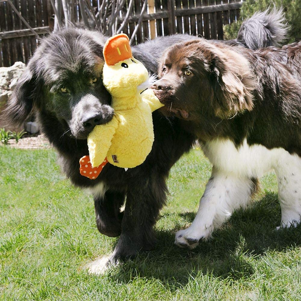 Kong Company 38748523: Comfort Duck Jumbo Dog Toy, Xl, For All Breed Sizes