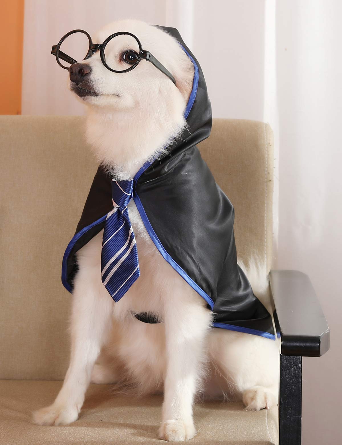 Coomour Dog Halloween Costume Pet Wizard Shirt Funny Cat Clothes For Dogs Cats Clothing With Glasses (X-Large,Green)
