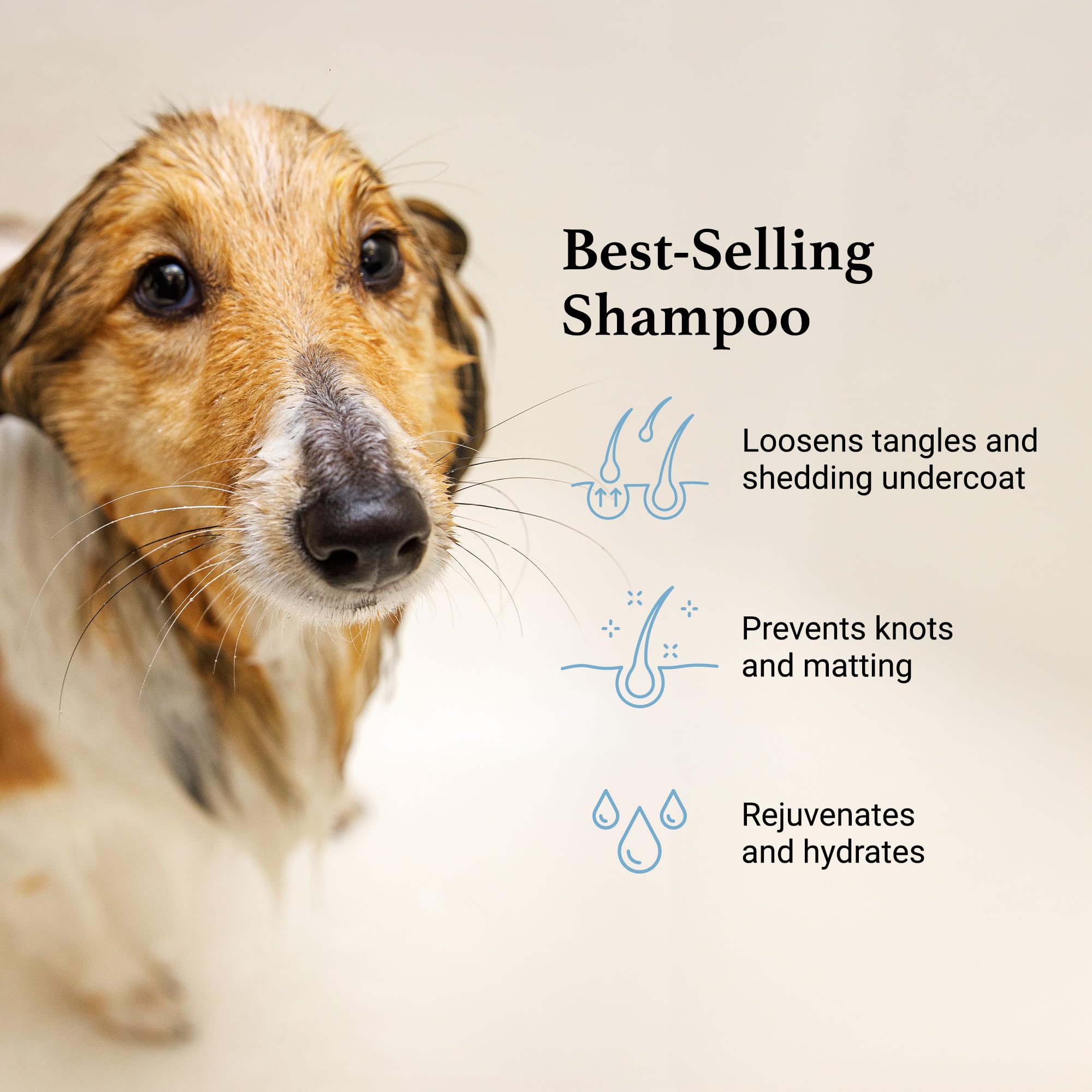 iGroom Deshedding & Detangling Dog Shampoo, 16 OZ, Loosens Tangles, Adds Shine, Made in USA