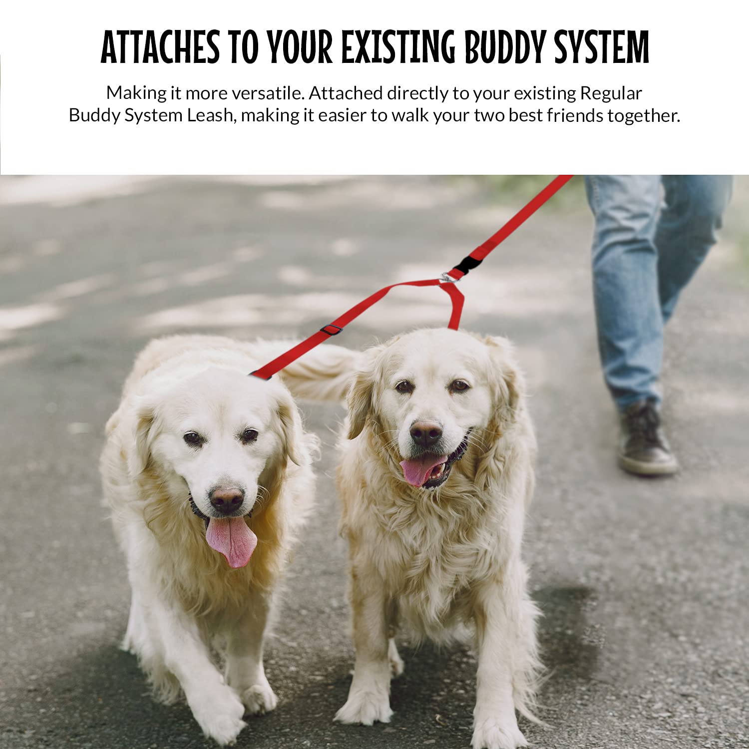 The Buddy System Accessories For Our Dog Leashes Made In Usa (Double Buddy, Regular Dog Red)