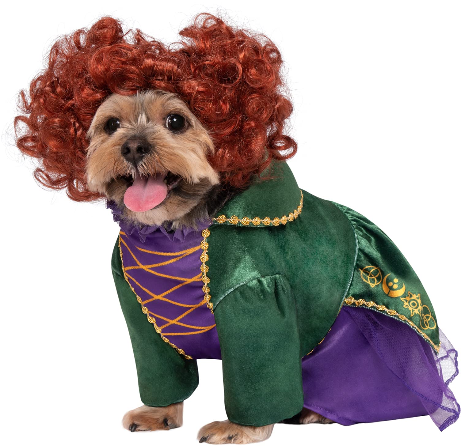 Hocus Pocus: Winifred Pet Costume - Medium