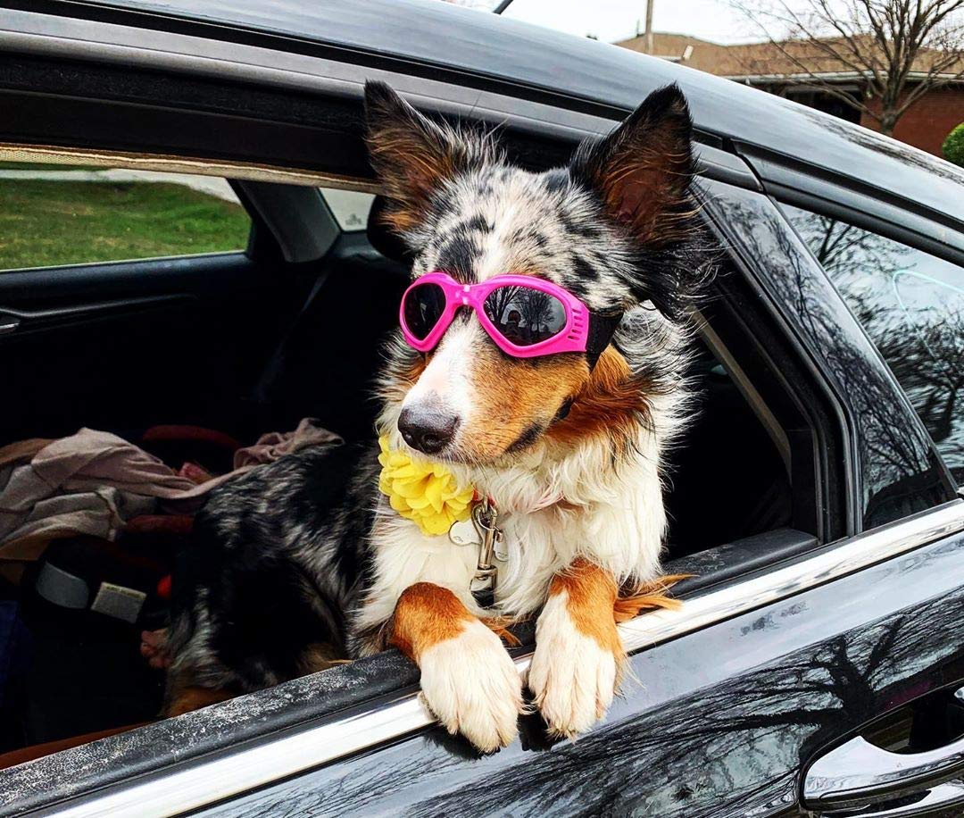 Petleso Dog Goggles Medium Breed, Pet Sunglasses For Medium Dogs Eye Protection Windproof, Pink
