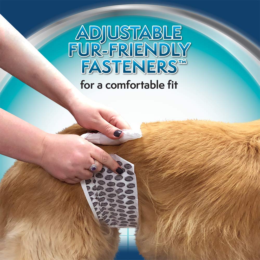 Simple Solution Disposable Dog Diapers for Male Dogs  Male Wraps with Super Absorbent Leak-Proof Fit  Large  12 count