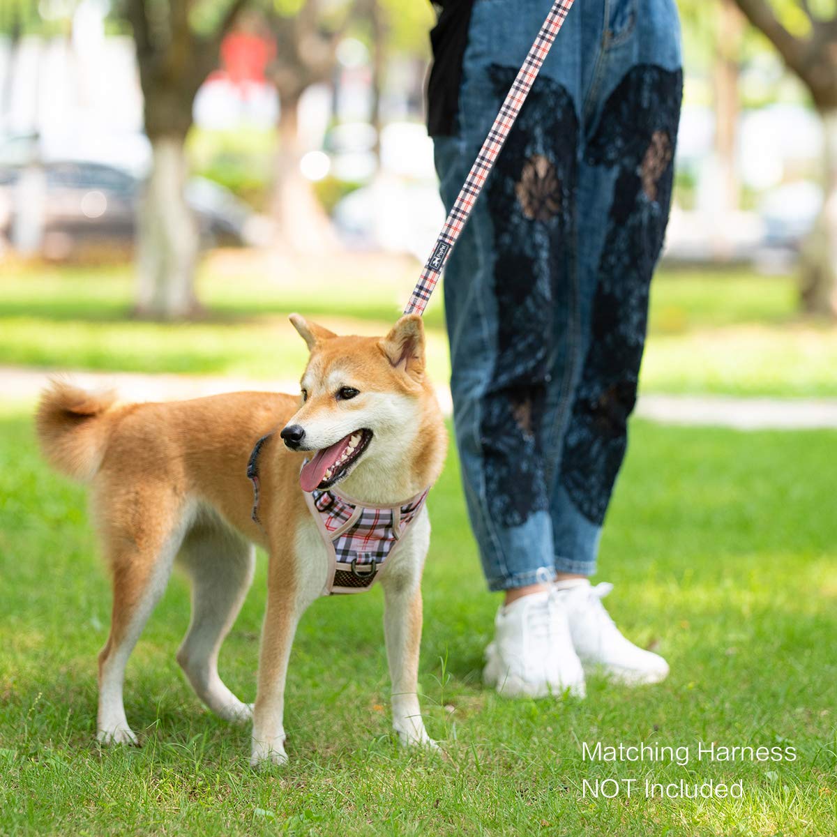 Poypet 5 Feet Dog Leash With Padded Handle For Small Medium And Large Dogs(Checkered Beige)