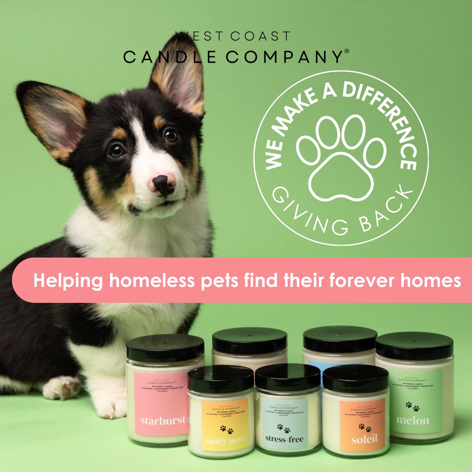 Pet Friendly Wax Melts | Pet Safe Wax Melts | All Natural Dog Safe Wax Melts | Non-Toxic Wax Melts | Pet Odor Eliminator | Pure
