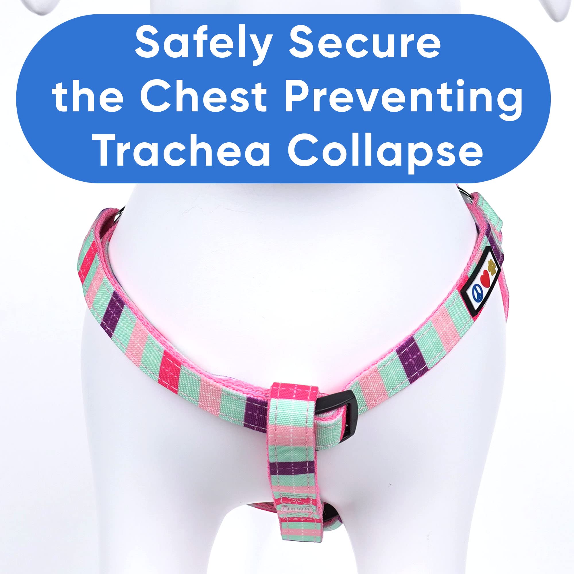Pawtitas Pet Adjustable Solid Color Step In Puppy/Dog Harness 6 Feet Matching Collar And Harness Sold Separately Small Teal/Pink