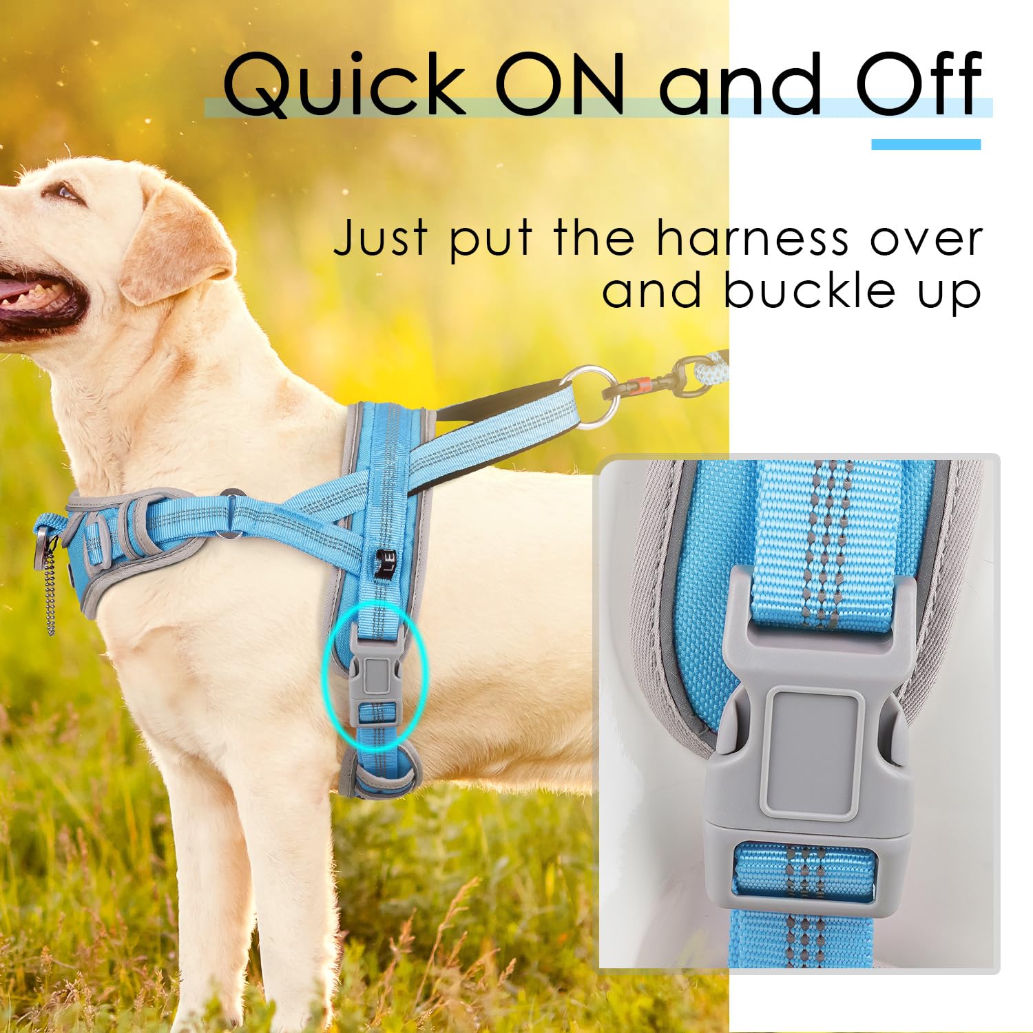 ADVENTUREMORE Small Dog No Pull Harness, Adjustable XL Vest, Reflective, Light Blue, Escape Proof with QR Code Tag, Model CPHA-0415-QR-XL-LBU