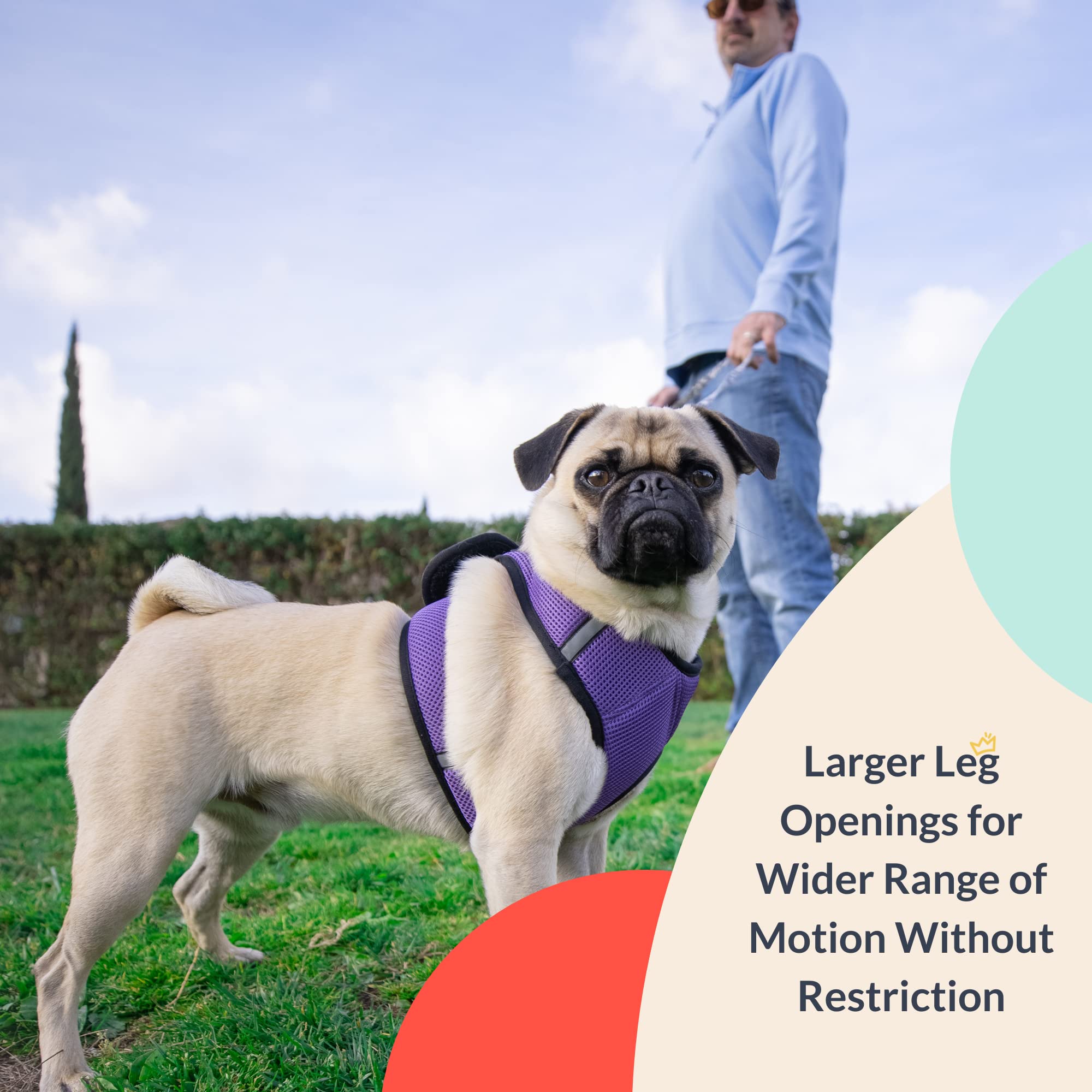 Huxley & Kent Hudson Walking & Training Harness - Purple (Medium, 15-22Lbs) - Easy Control Step-In Mesh Vest Harness With Reflec