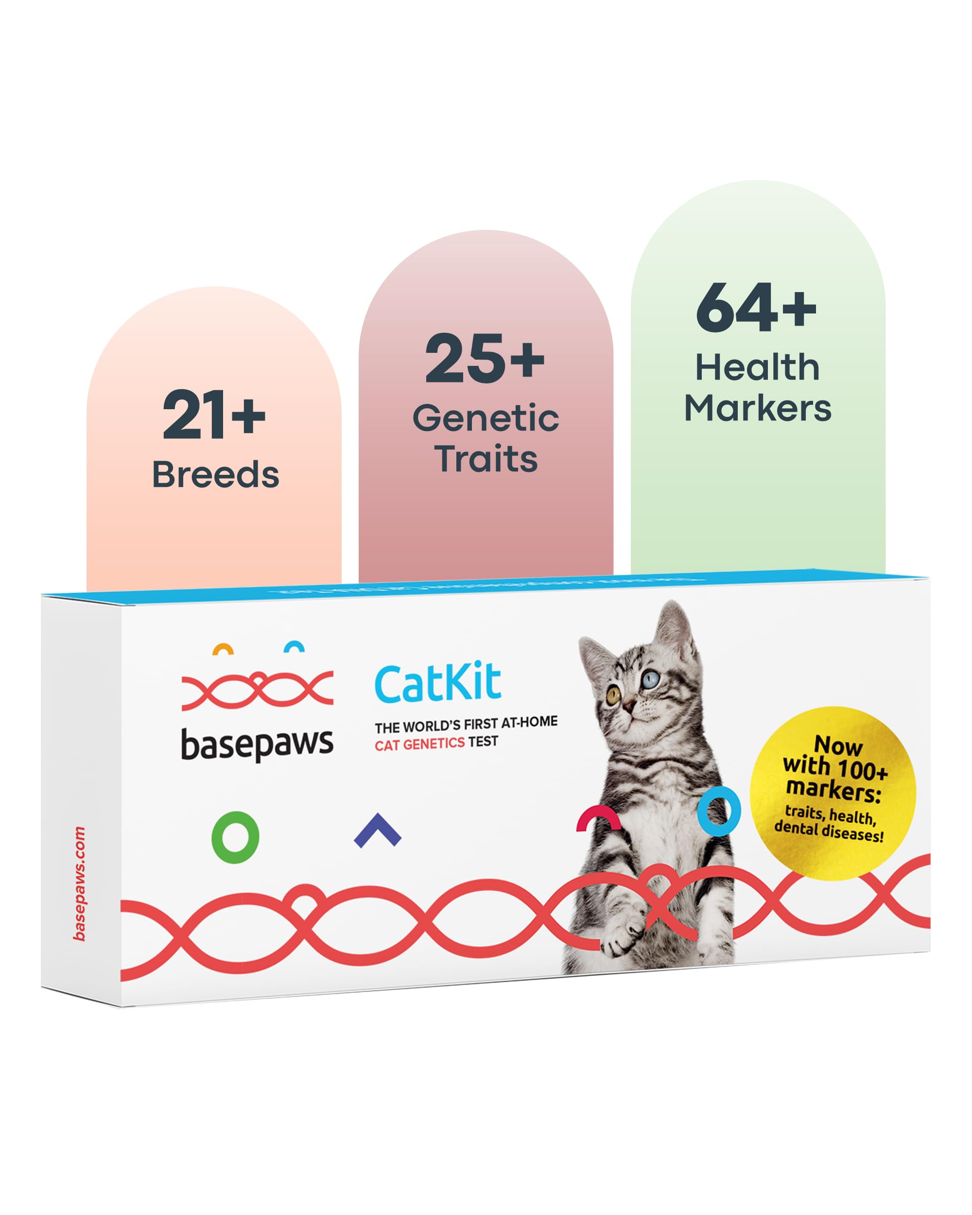 Basepaws Cat DNA Test Kit - Comprehensive Breed, Health and Dental Analysis Across 114 Traits for Accurate and Easy-to-Use Genet