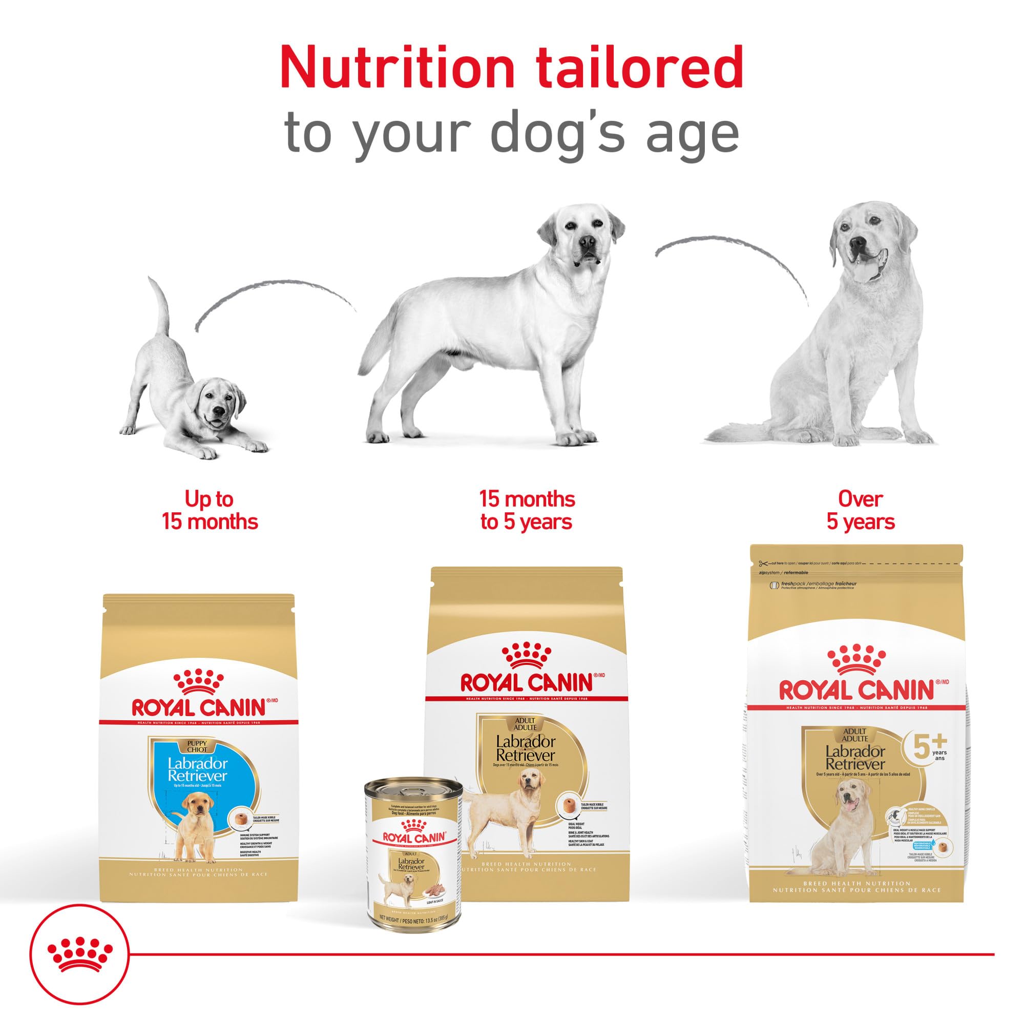Royal Canin Breed Health Nutrition Labrador Retriever 5+ Mature Dry Dog Food, 28 lb Bag
