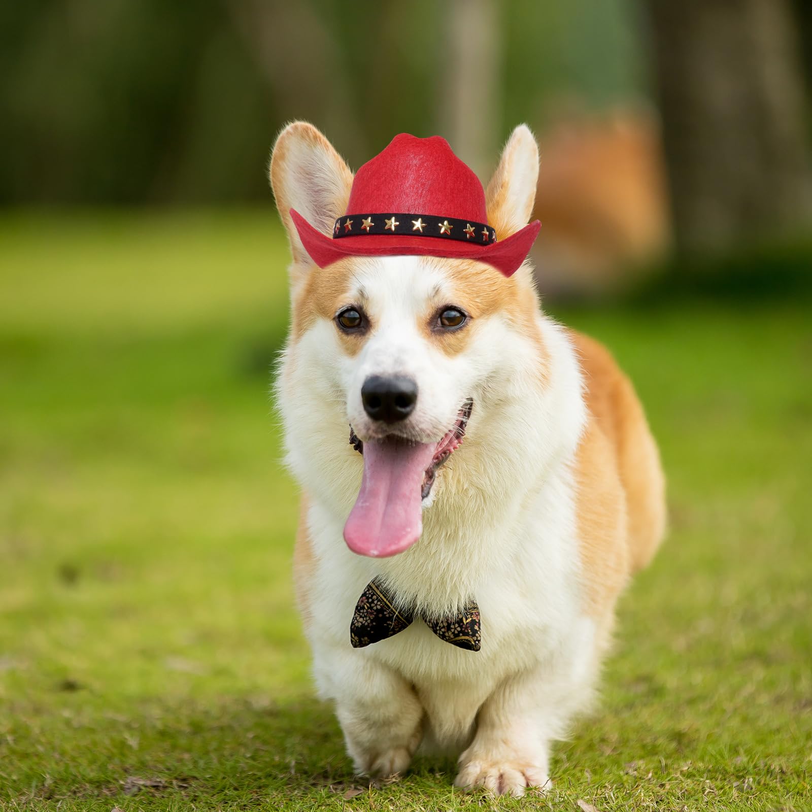Choyaxo Pet Cowboy Costume Cosplay Cap Halloween Costumes For Dogs Cat Pet Party Decoration Mini Cowboy Hat (Red, Small)