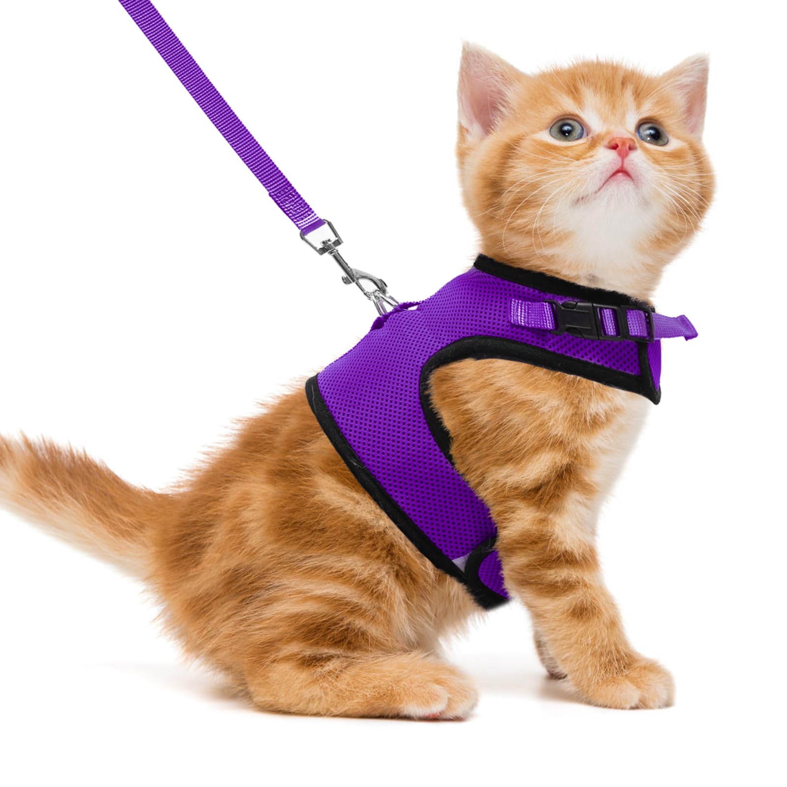 Pupteck Soft Mesh Cat Vest Harness And Leash Set Puppy Padded Pet Harnesses Escape Proof For Cats Small Dogs, Purple Small