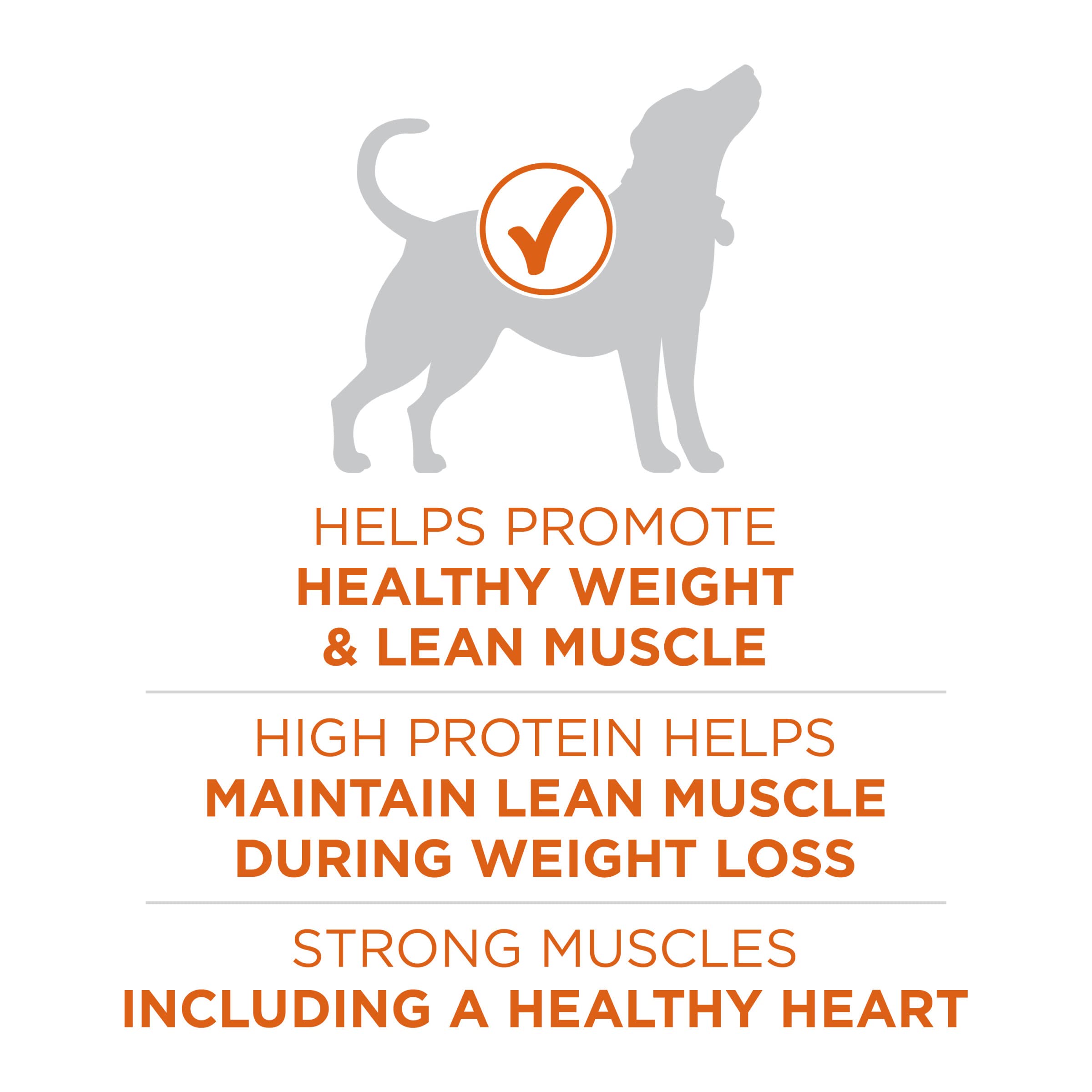 Purina ONE Plus Healthy Weight High-Protein Dog Food Dry Formula - 40 lb. Bag