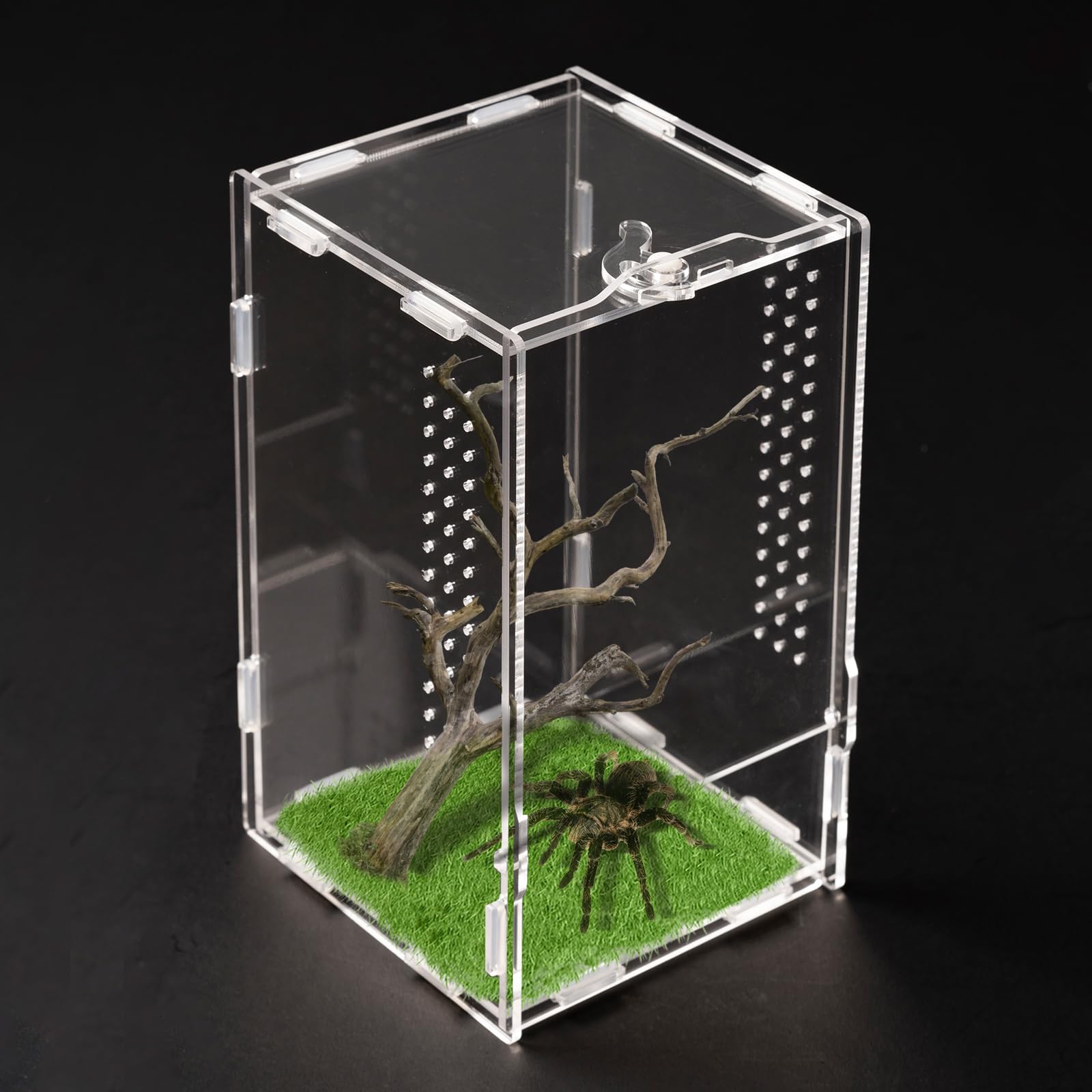 Swirge Transparent Jumping Spider Enclosure, Acrylic Reptile Terrarium Enclosure, Small Reptiles Habitat Tank Breeding Box For T
