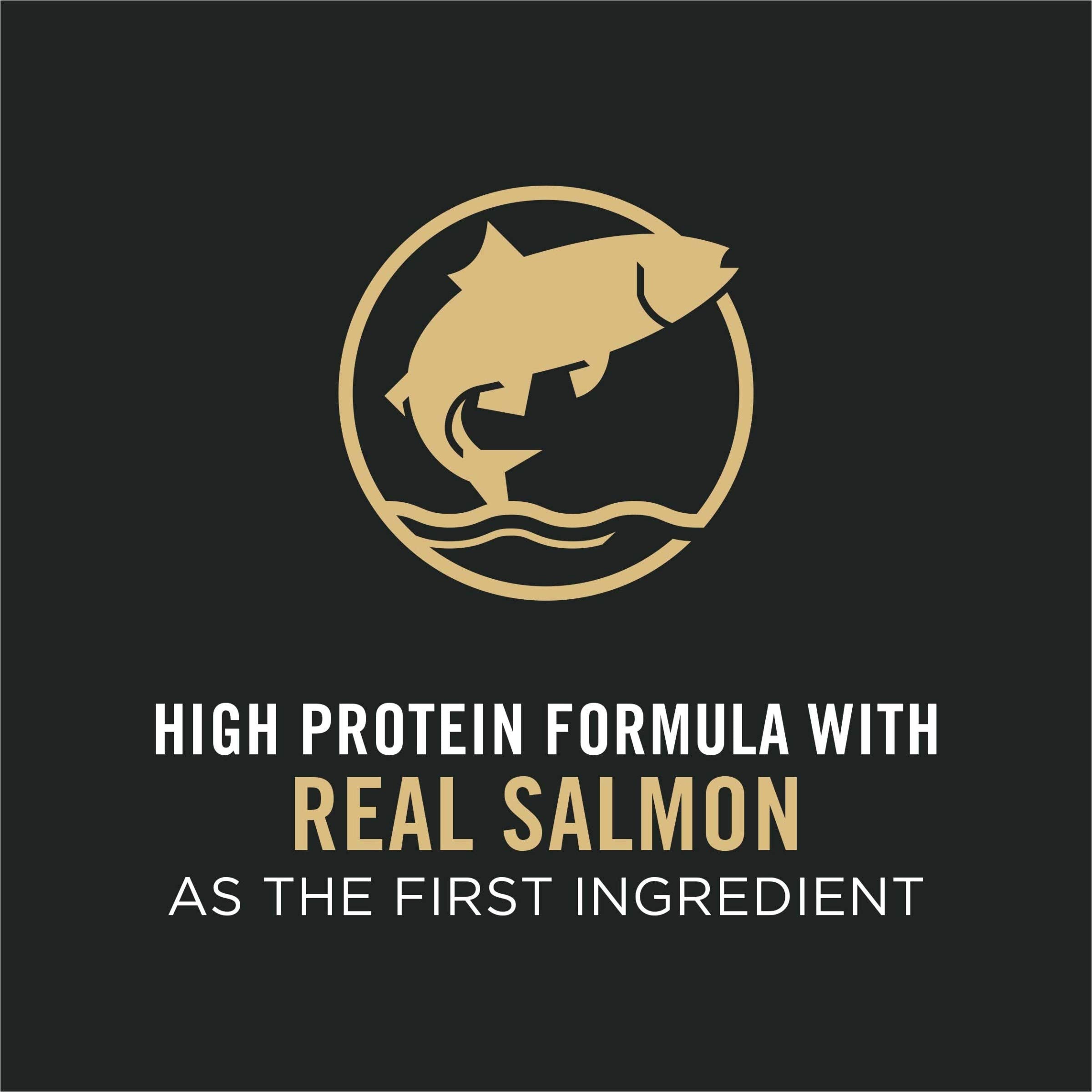 Purina Pro Plan High Energy, High Protein Dog Food, SPORT 30/20 Salmon & Rice Formula - 6 lb. Bag