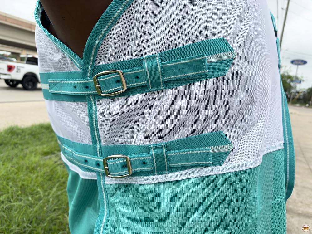 HILASON Horse Fly Sheet - Summer Spring UV Protection Mesh Bug Mosquito FlySheet for Horses | Fly-Sheet