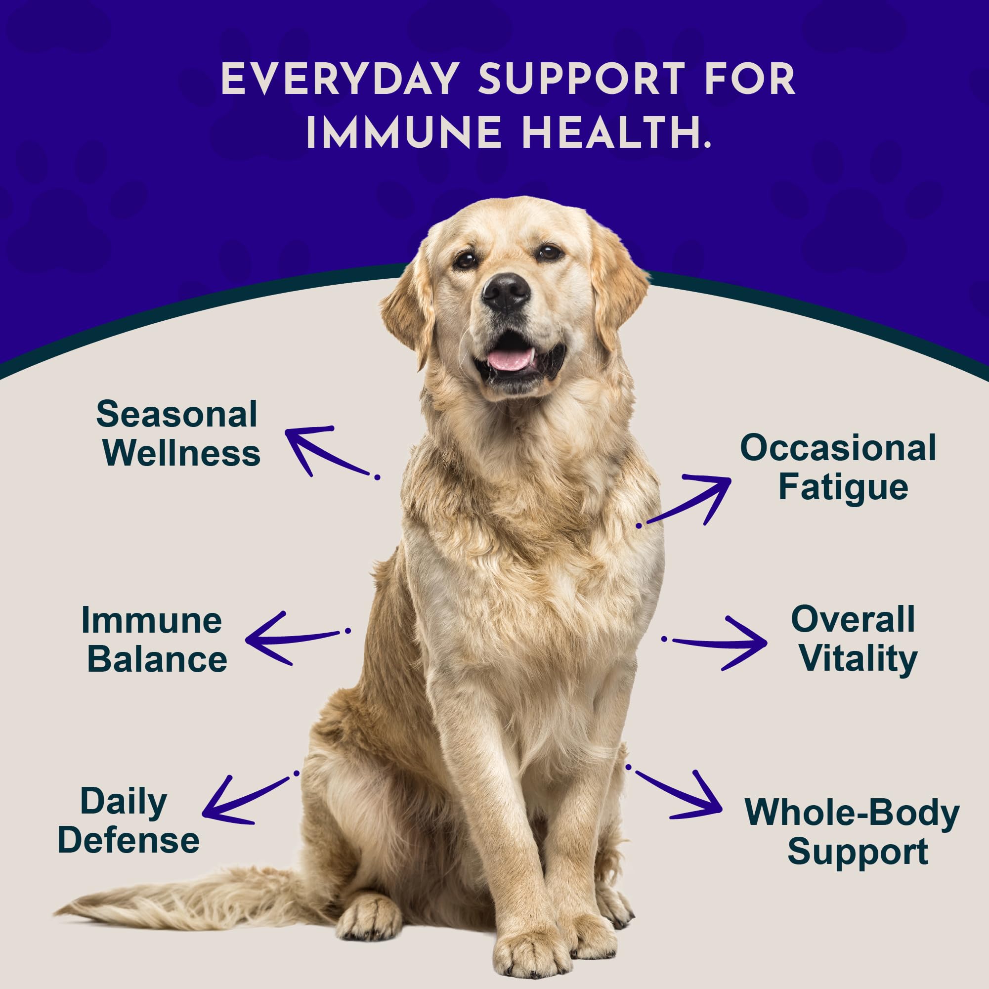 Animal Essentials Super Immune Support for Dogs & Cats, 1 fl oz - Ol Complex, Promotes Healthy Immune System