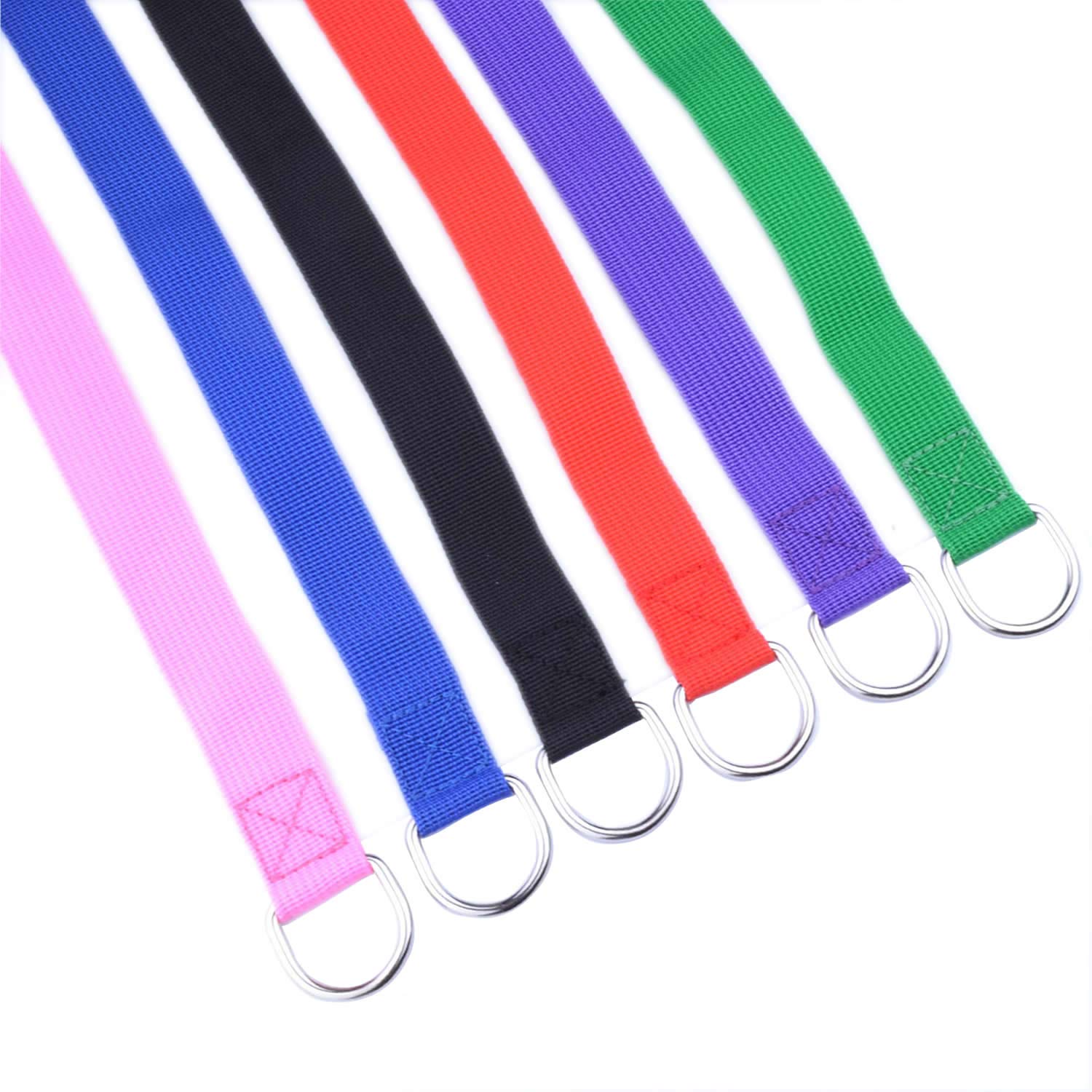 6 Pack D Ring Dog Slip Leads Leash Kennel Nylon Rope Doggy Daycare For Animals Control Training Play Camping Cats Dogs Pet Supply