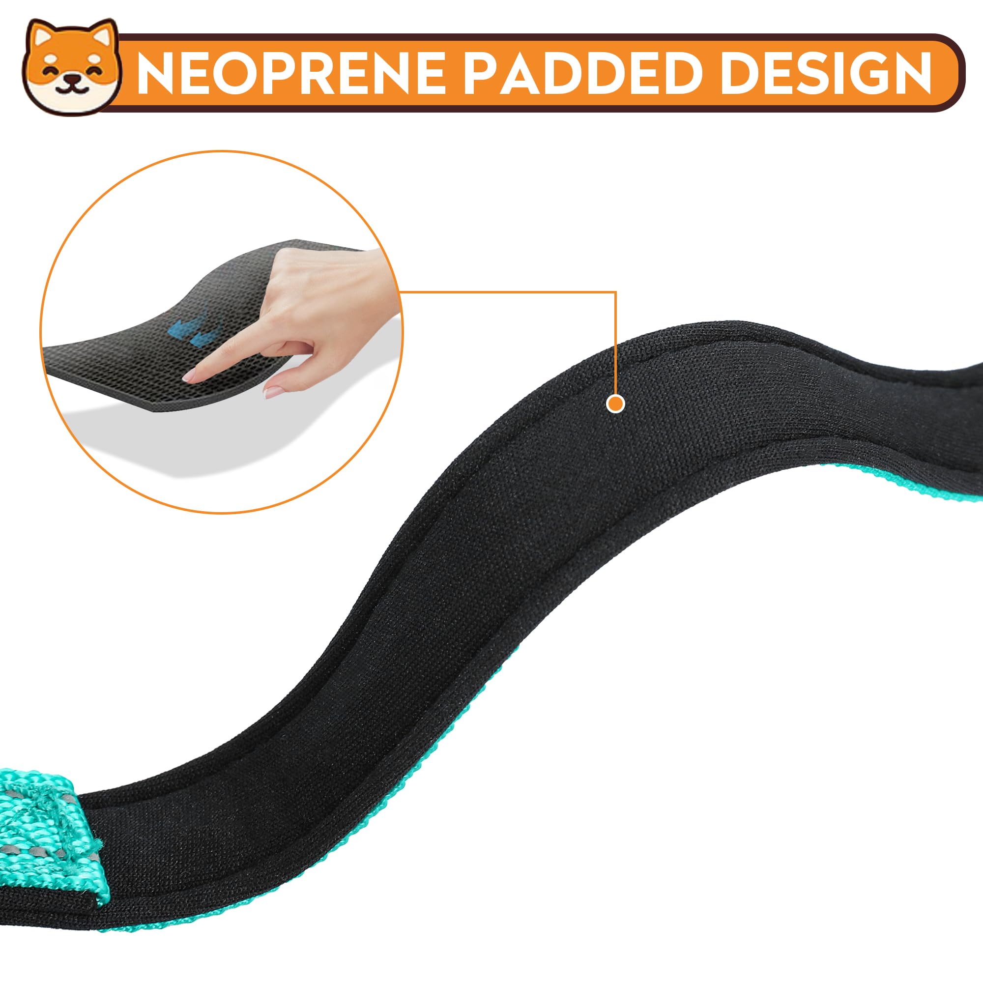 Pwod Reflective Dog Collar, Adjustable Soft Neoprene Padded Nylon Pet Collars With Buckle For Puppy And Small Dogs, Cats, Teal,X