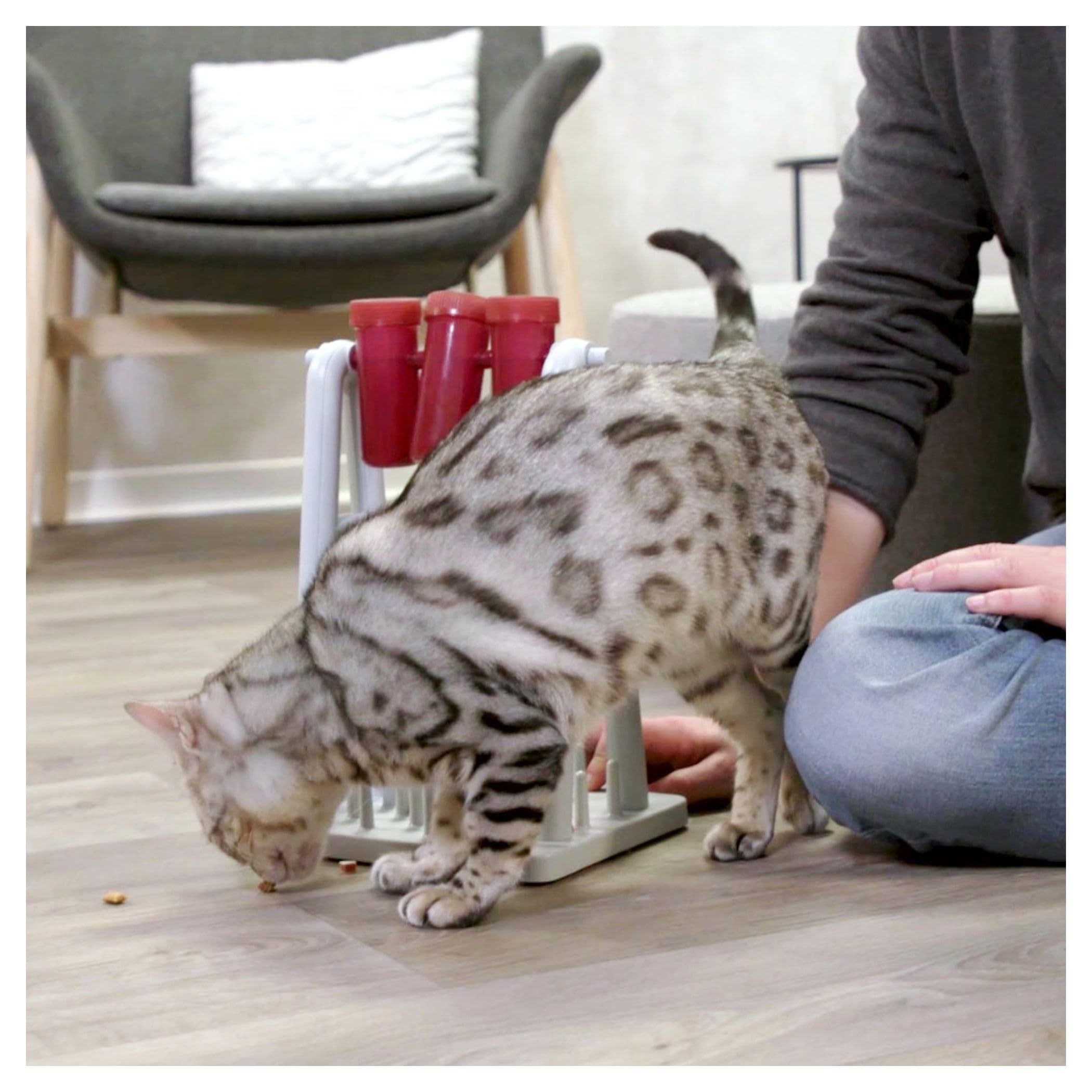 TRIXIE Cat Activity Turn Around Strategy Game, Slow Feeder, Interactive, Treat Toy, All Breed Sizes 9 x 7 x 13 in.