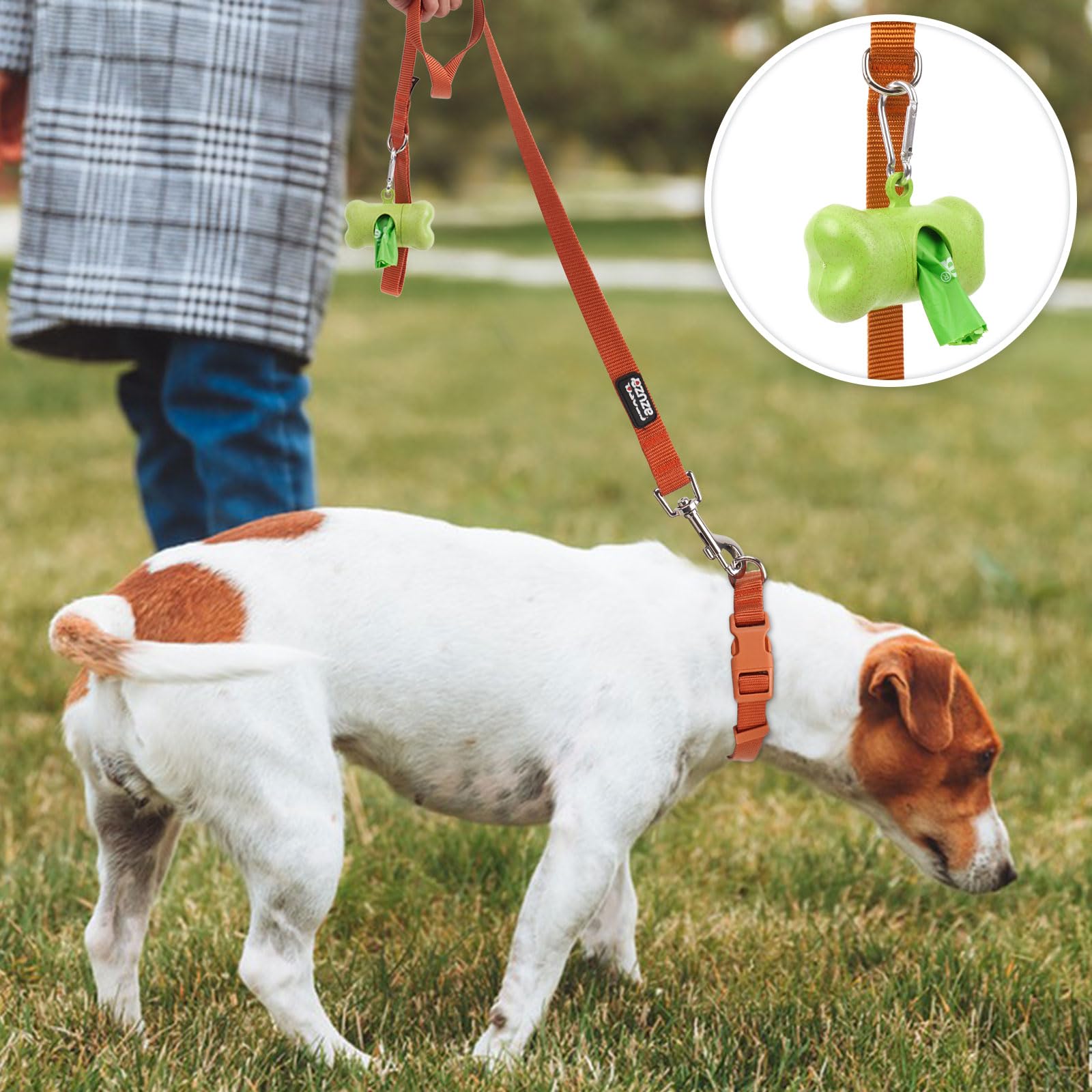 Azuza 3 Pack Fall Nylon Dog Leashes Strong & Durable Basic Dog Leash With Easy To Use Collar Hook For Puppy And Small Dogs, Xs (