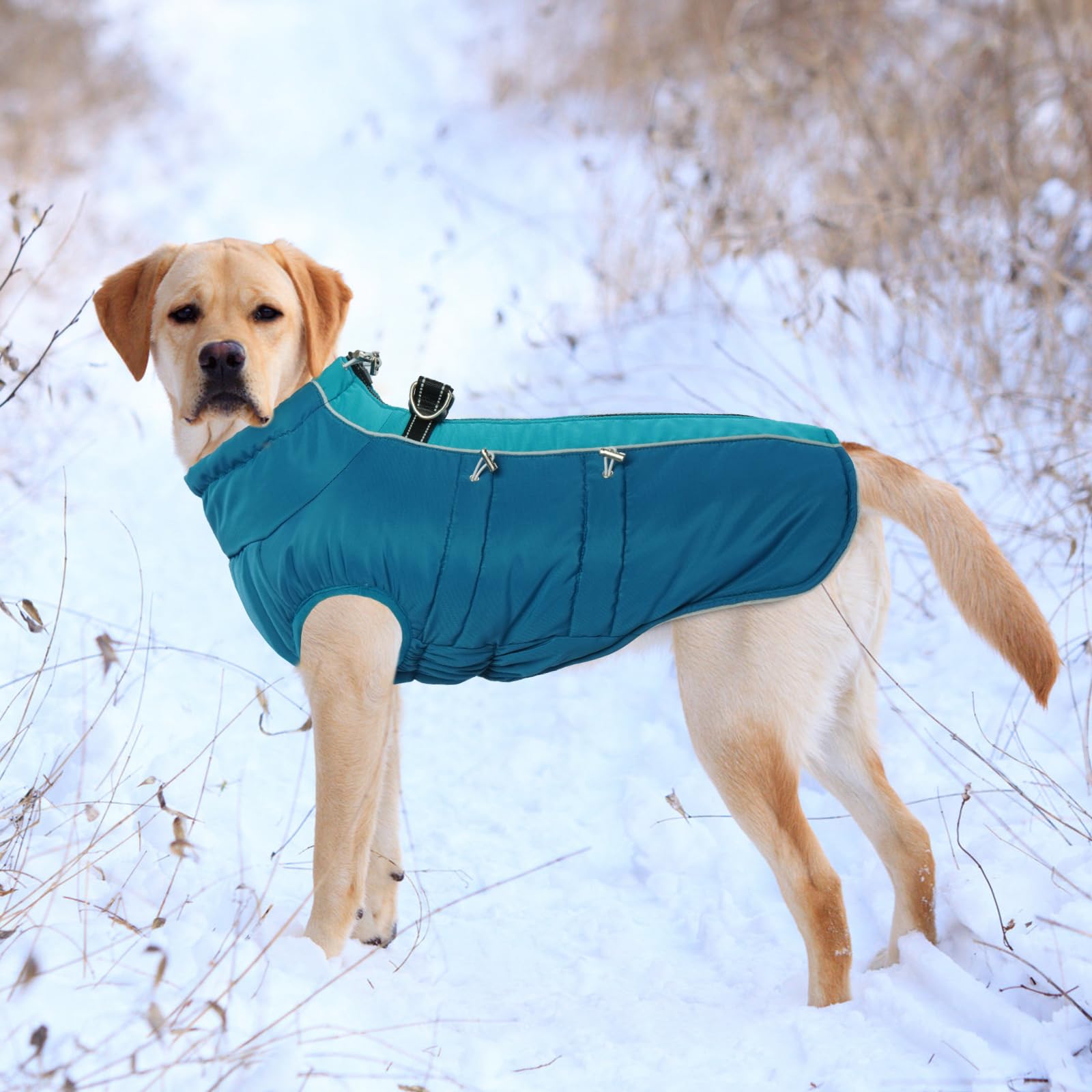 IDOMIK Warm Dog Coat with Harness, Waterproof Fleece Jacket, Size S, Blue