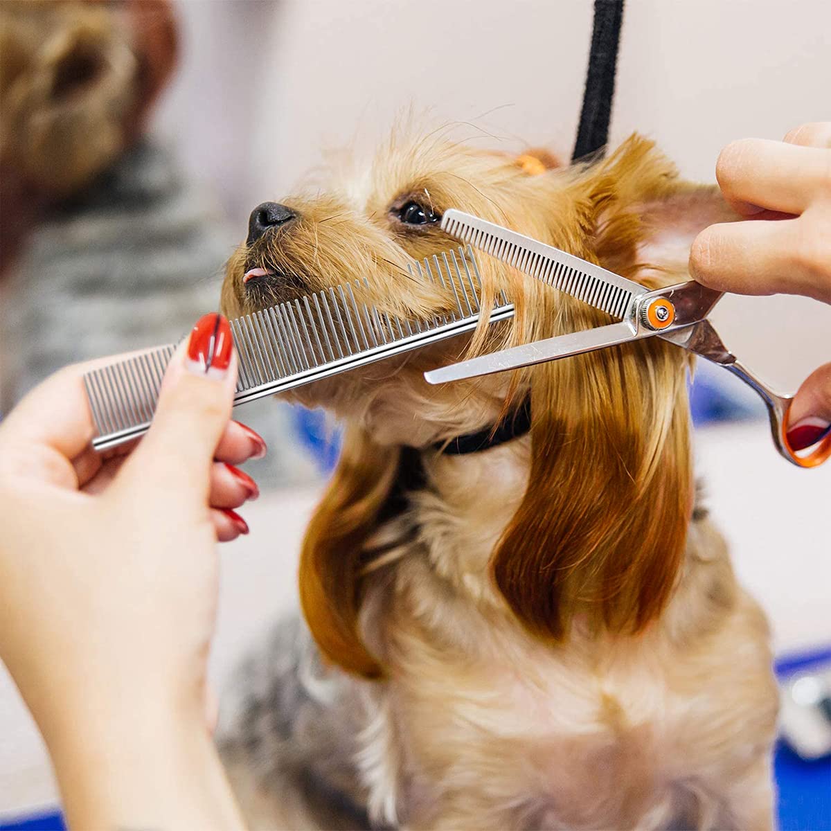 9 Pieces Cat Dog Flea Combs Dog Eye Stain Remover Combs Pets Grooming Comb Dog Tear Stain Comb For Dogs Gently Removing Eye Mucus And Crust