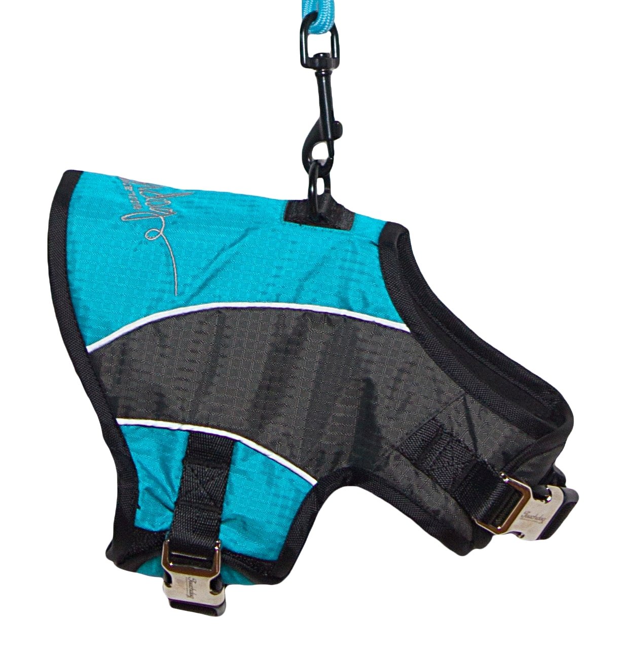 TOUCHDOG 'Reflective-Max' 2-in-1 Premium Performance Adjustable Pet Dog Harness and Leash Combination, Medium, Turquoise Blue, C