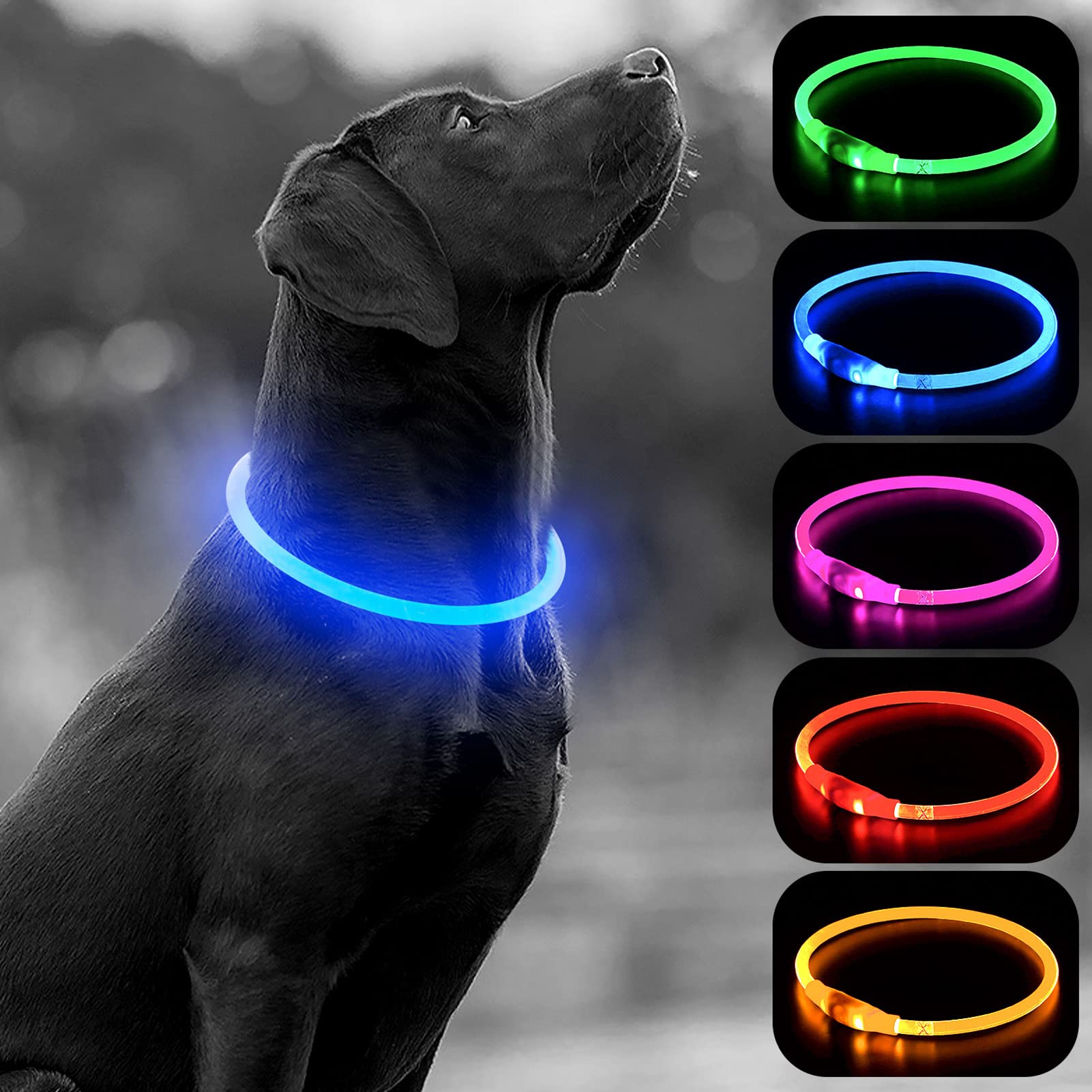 Higo Led Dog Collar, Usb Rechargeable Light Up Dog Collars Glow In The Dark, Tpu Cuttable Pet Safety Dog Necklace For Nighttime 