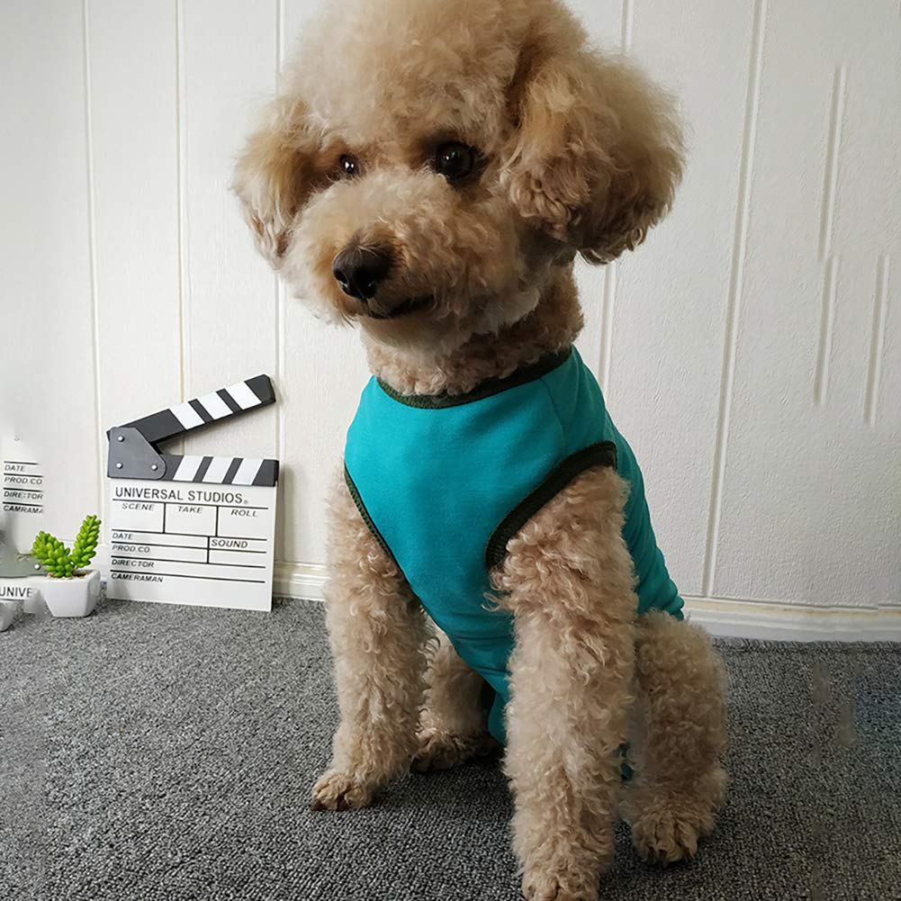 Dog’S Recovery Suit Post Surgery Shirt For Puppy, Wound Protective Clothes For Little Animals(Blue-Xl)