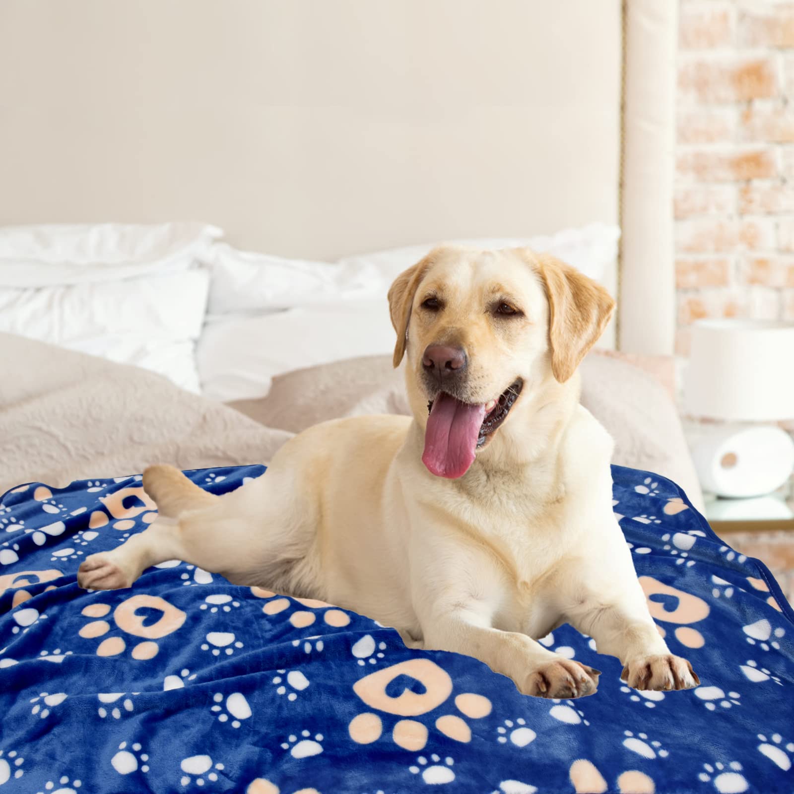 Ahoocustom Dog Blanket, Soft Fleece Dog Blankets For Large Dogs, Fluffy Flannel Pet Cat Puppy Blanket Mat Cover For Bed Couch, C