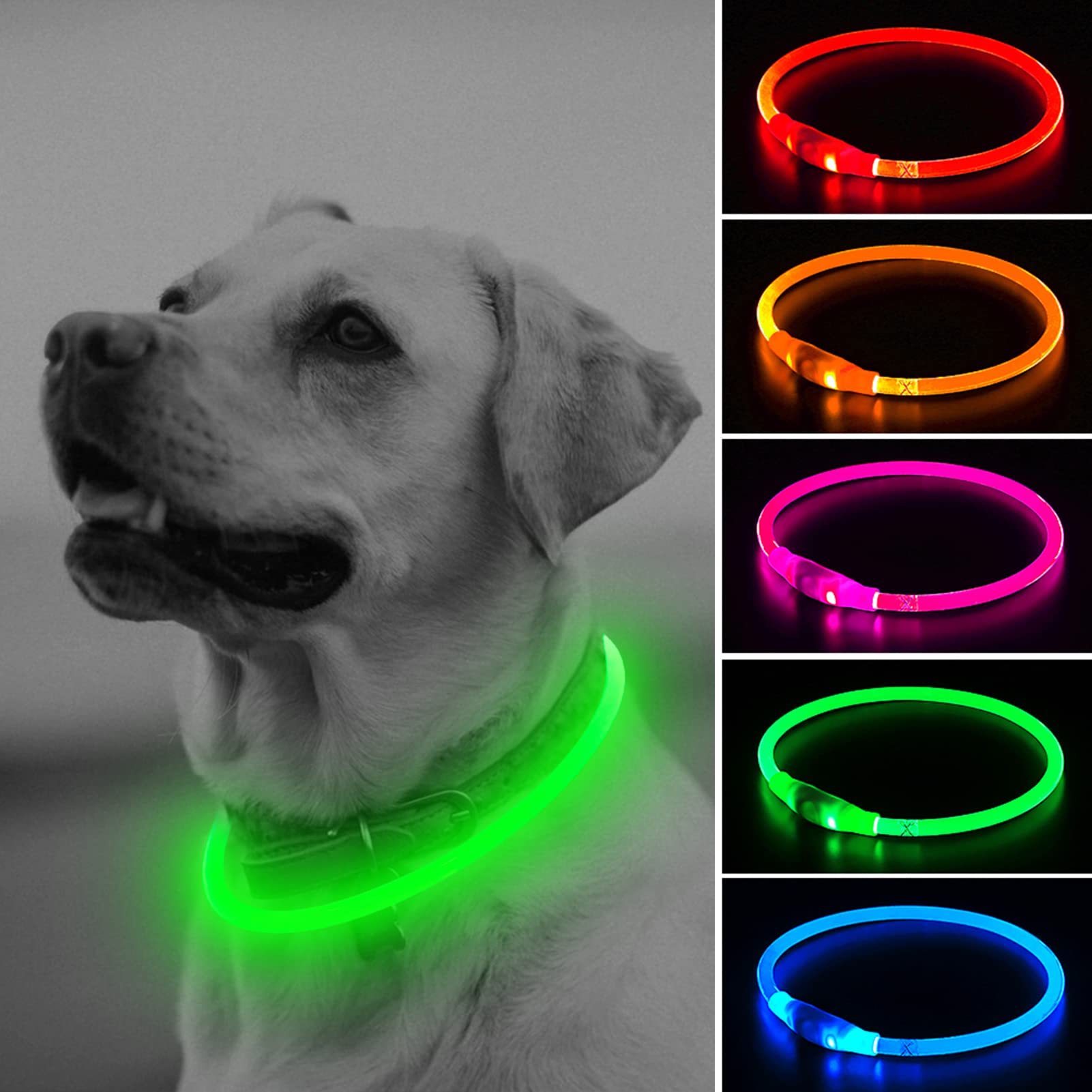 Illumifun LED Dog Collar, Rechargeable Light Up Dog Collars, Illuminated Lighted LED Necklace Glow in The Dark (Neon Green)