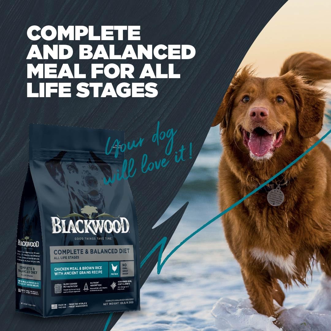 Blackwood Complete & Balanced Diet Dry Dog Food, Chicken Meal & Brown Rice with Ancient Grains, 4.5 Pound Bag, Slow Cooked with
