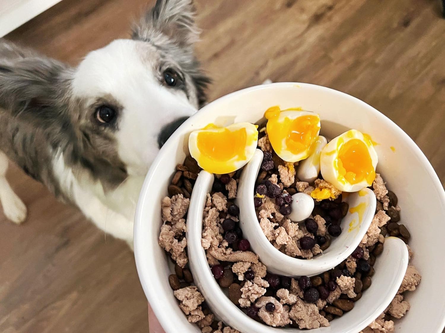 Ceramic Slow Feeder Dog Bowls Elevated For Small And Medium Breed, With Wooden Stand, 1.5 Cups To Slow Down Eating, Anti-Gulping