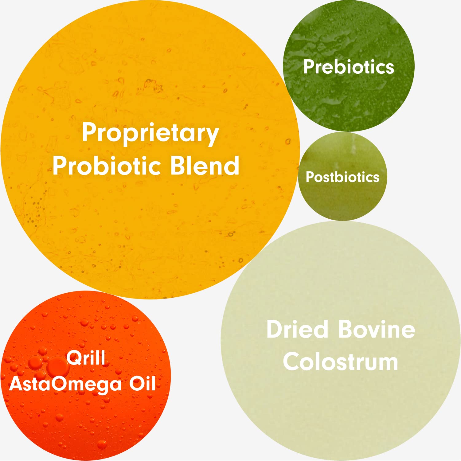 PetLab Co. Allergy & Immune - Support Your Pup with Seasonal Allergies, Intermittent Itchiness, & Healthy Yeast Production Probi