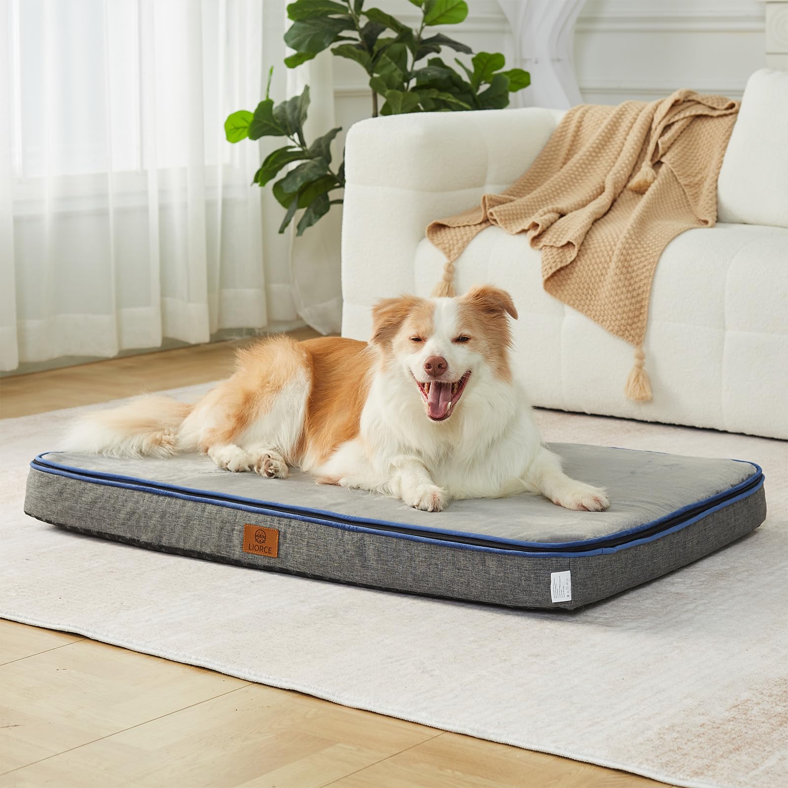 Liorce Memory Foam Xl Dog Bed - 4    Thick Orthopedic Beds For Extra Large Dogs - Waterproof Dog Bed With Removable Washable Cov