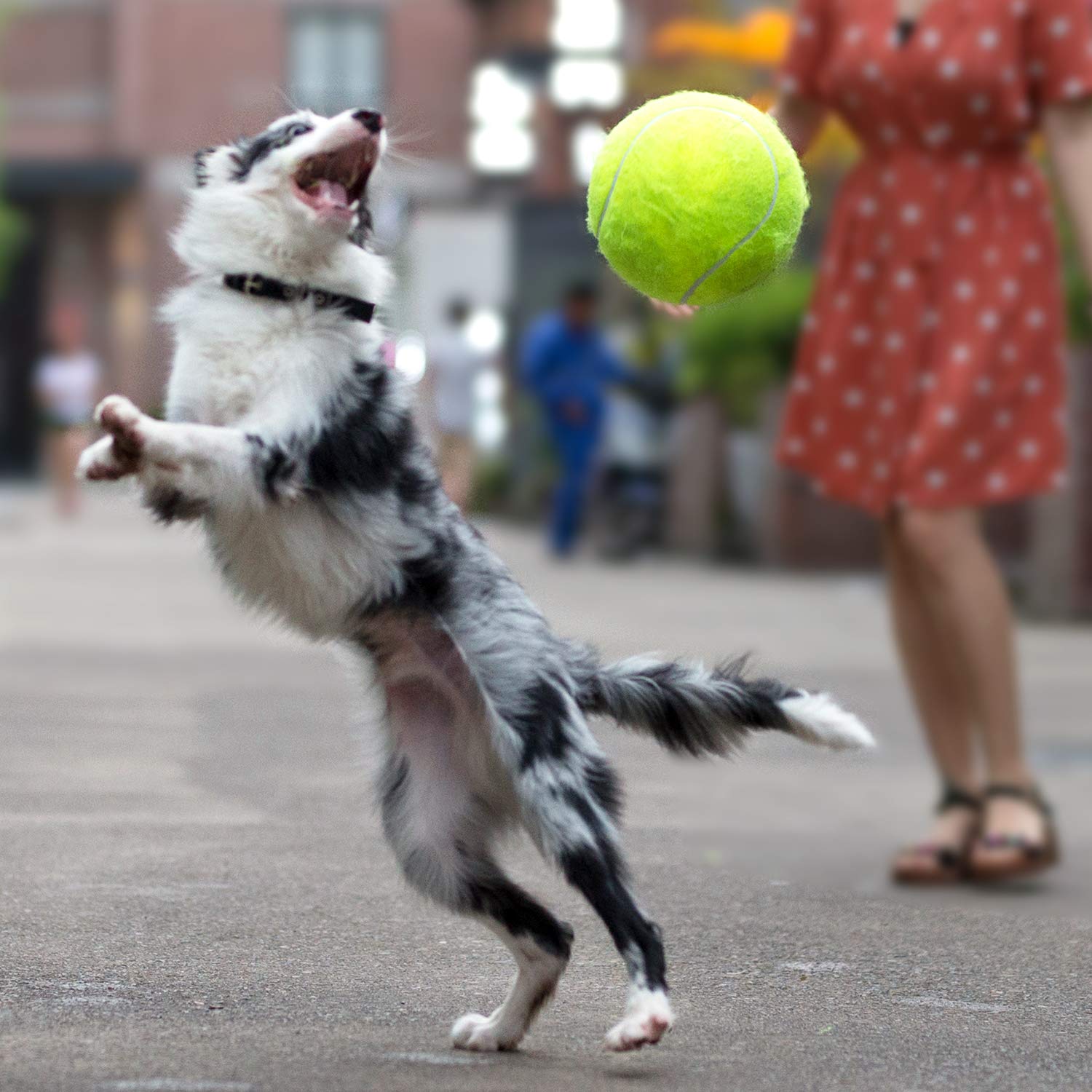 CNMGBB Giant Tennis Ball 9.5 inch Dog Tennis Ball Large Pet Toys Funny Outdoor Sports Dog Ball Gift (Shipped Deflated)