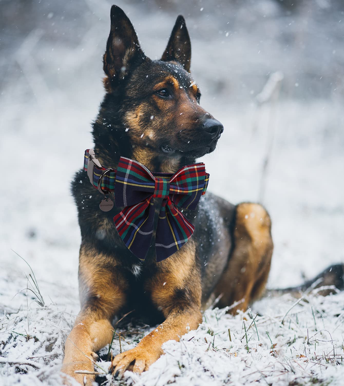 Dogwong Christmas Dog Collar With Sailor Bow Tie, Red Blue Plaid Dog Collar Soft Durable Adjustable Cotton Blue Tartan Gingham P