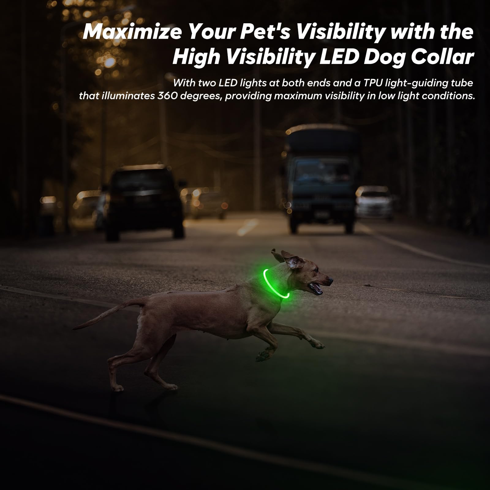 BSEEN LED Light Up Dog Collar, Rechargeable TPU, Green, 70cm, Model VQ-HQ9R-T7XR, Ideal for Night Walking