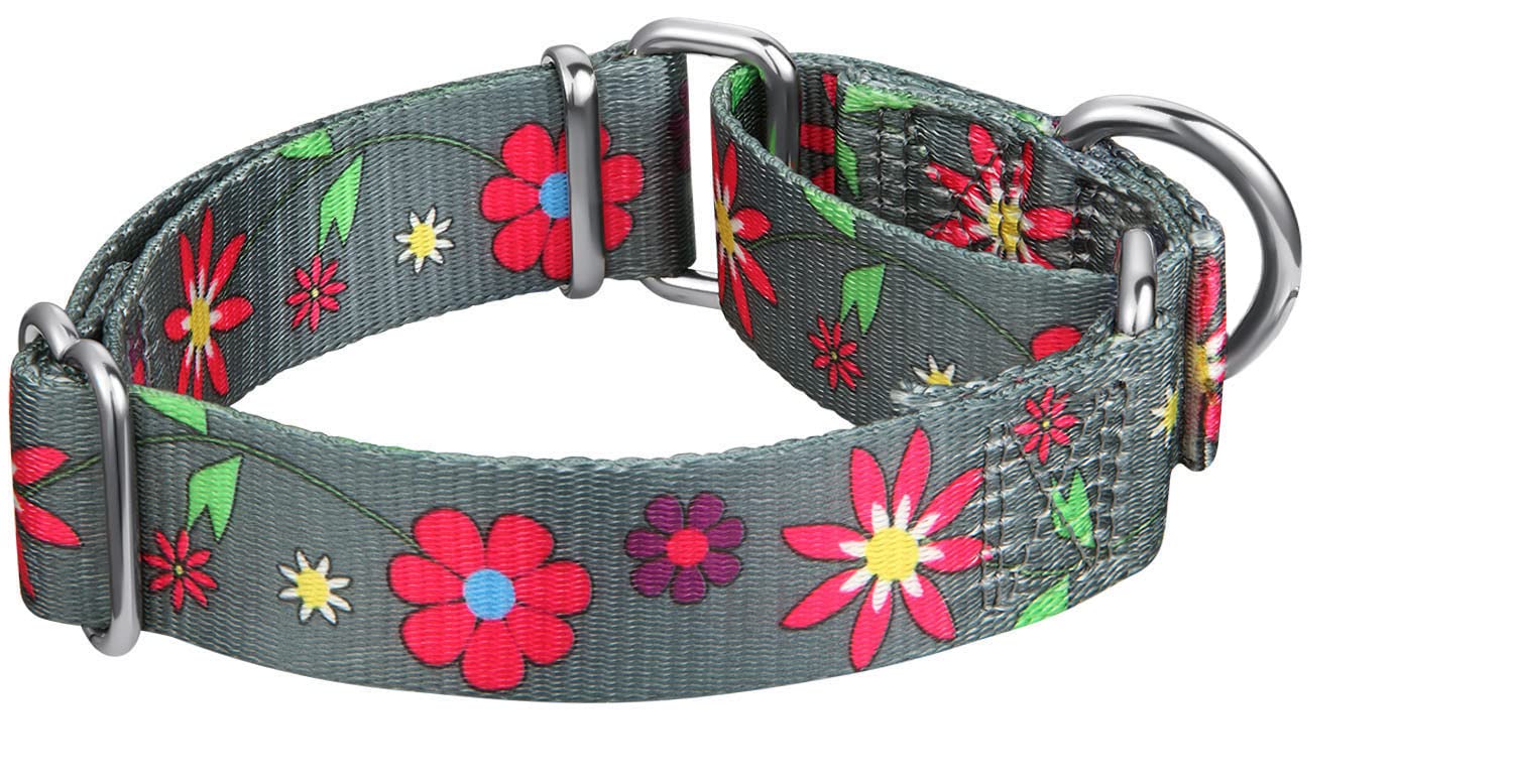 Martingale Collar Floral Print Dog Collar - Dazzber No Pull Pet Collar, Heavy Duty Adjustable Dog Collar, Medium, Neck 14 Inch -21 Inch, Sun Flower (Graphite Grey)