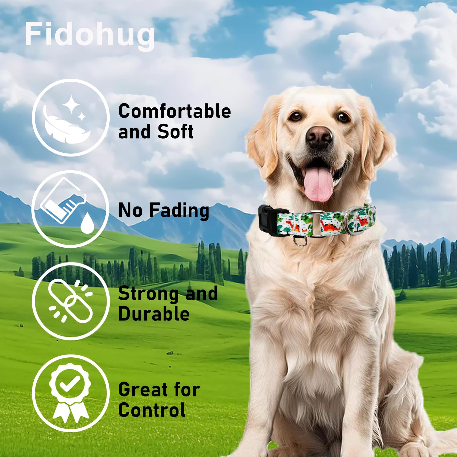 Fidohug Martingale Dog Collars With Buckle No Pull Training Dog Collar For Small Dogs (Green Dinosaur, Small)