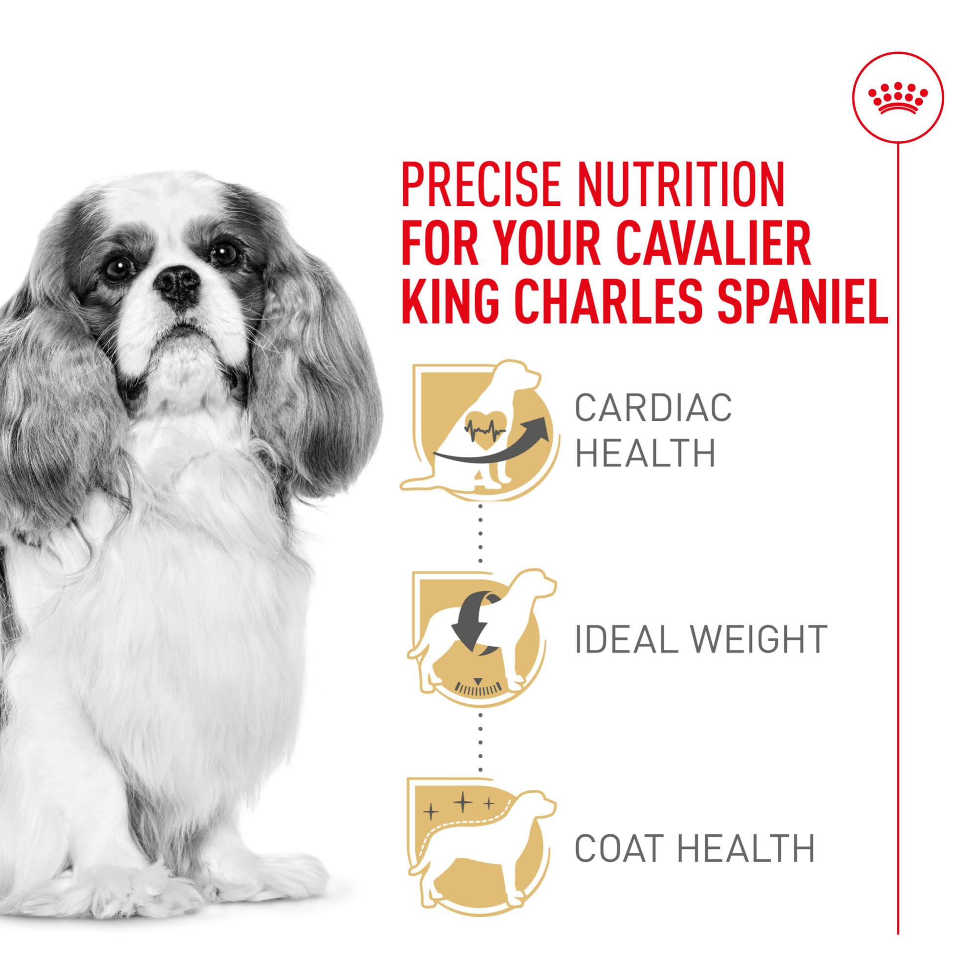 Royal Canin Cavalier King Charles Spaniel Adult Breed Specific Dry Dog Food, 10 lb bag